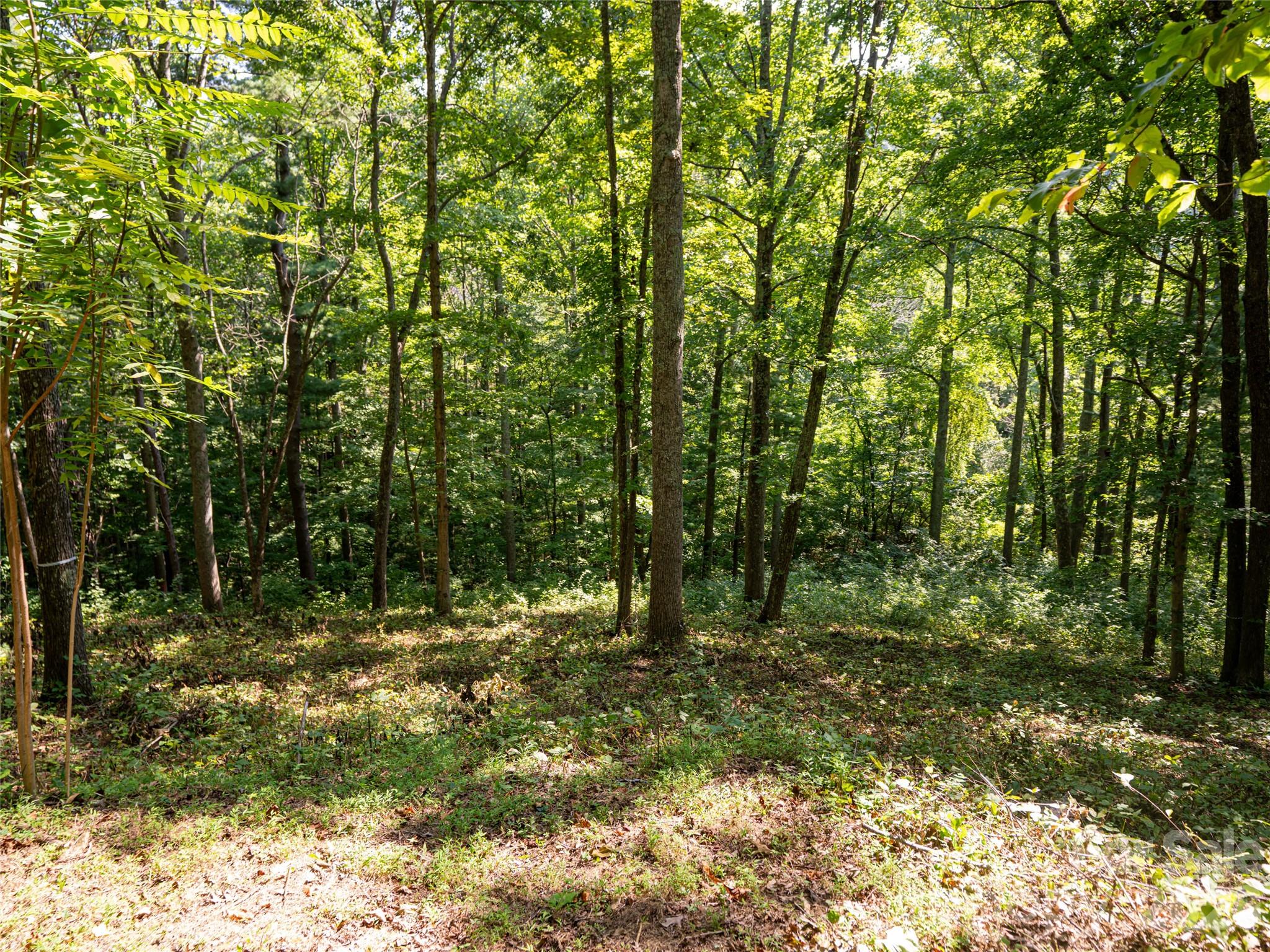 Reynolds Mountain - Land