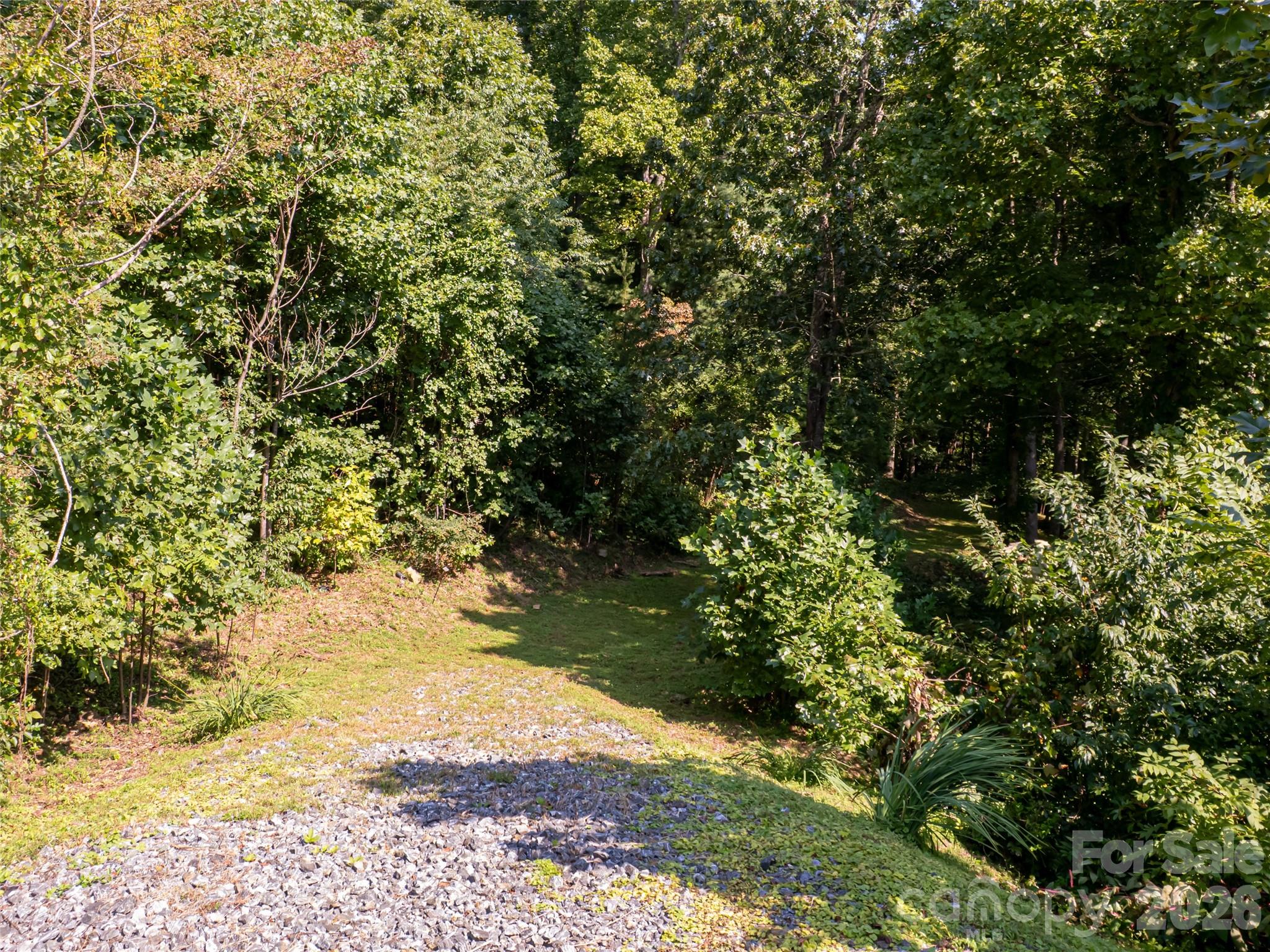 Reynolds Mountain - Land