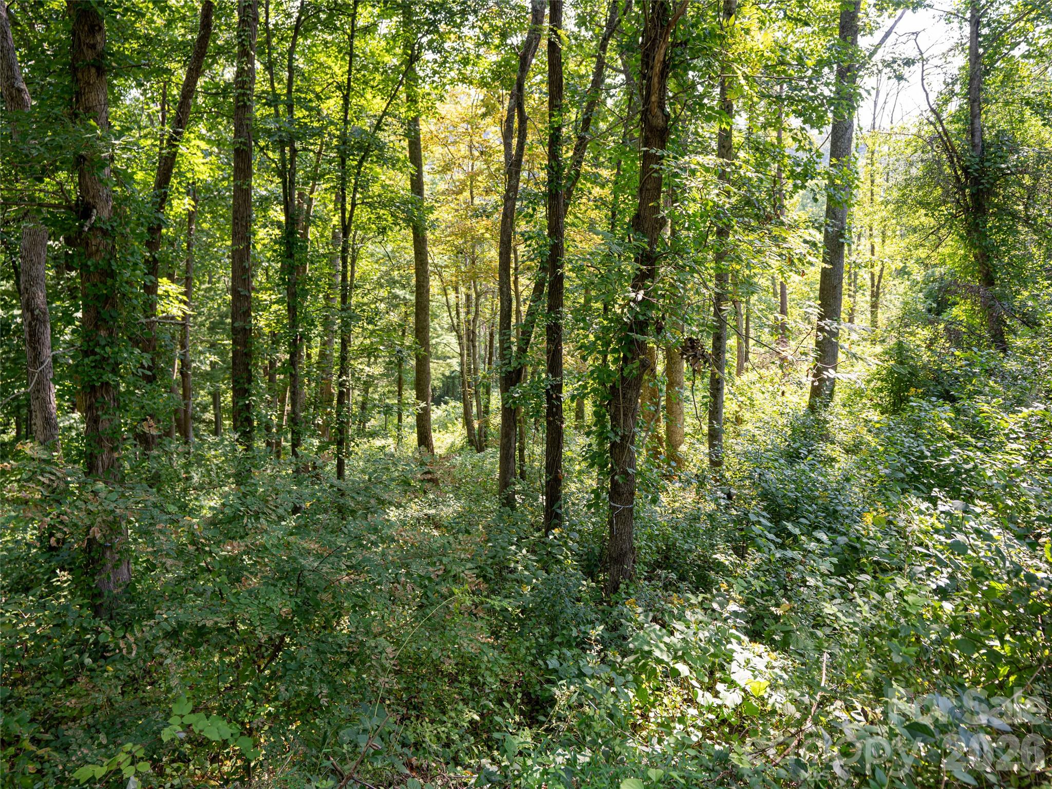 Reynolds Mountain - Land