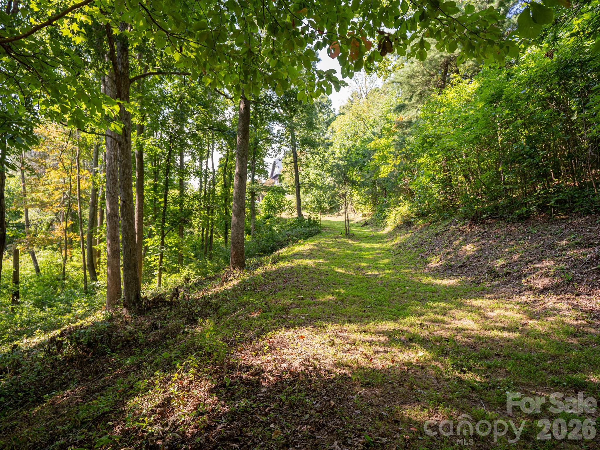 Reynolds Mountain - Land