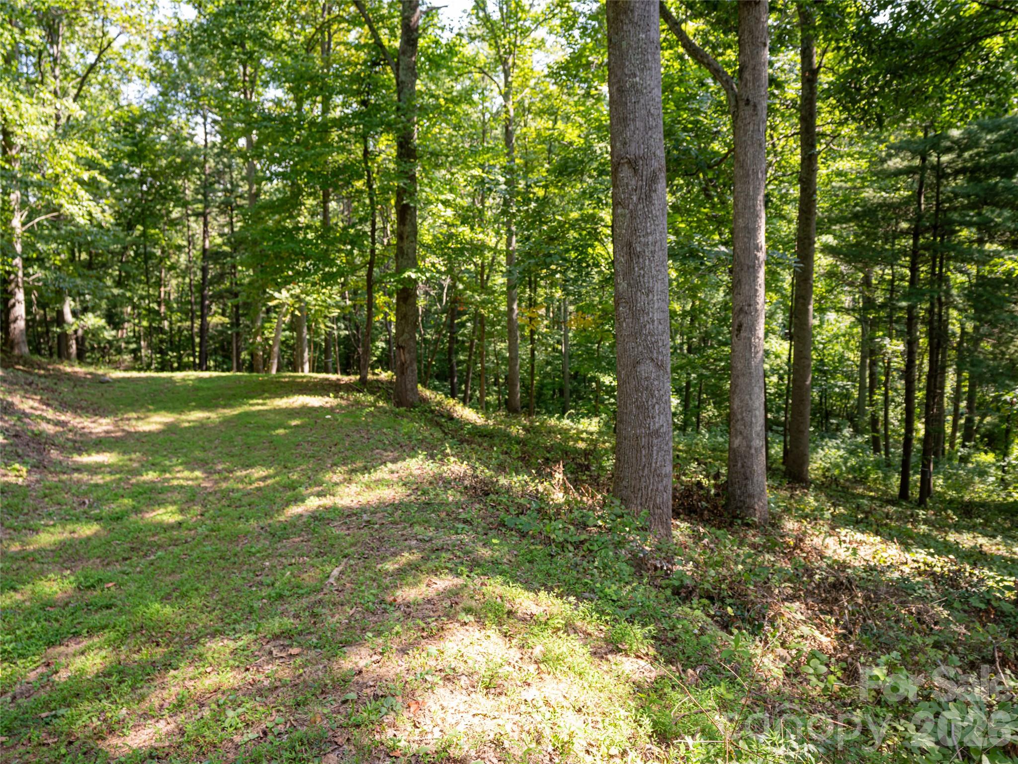 Reynolds Mountain - Land