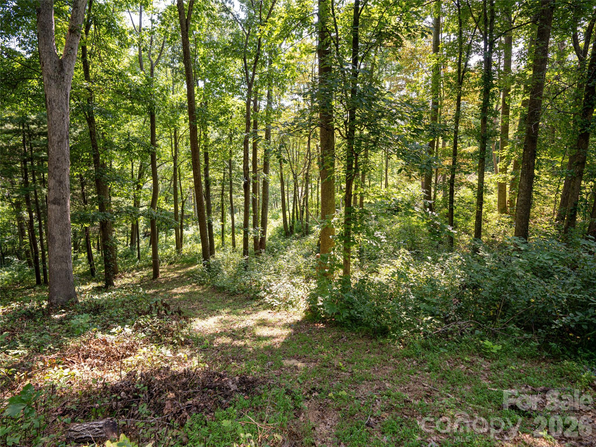 Reynolds Mountain - Land