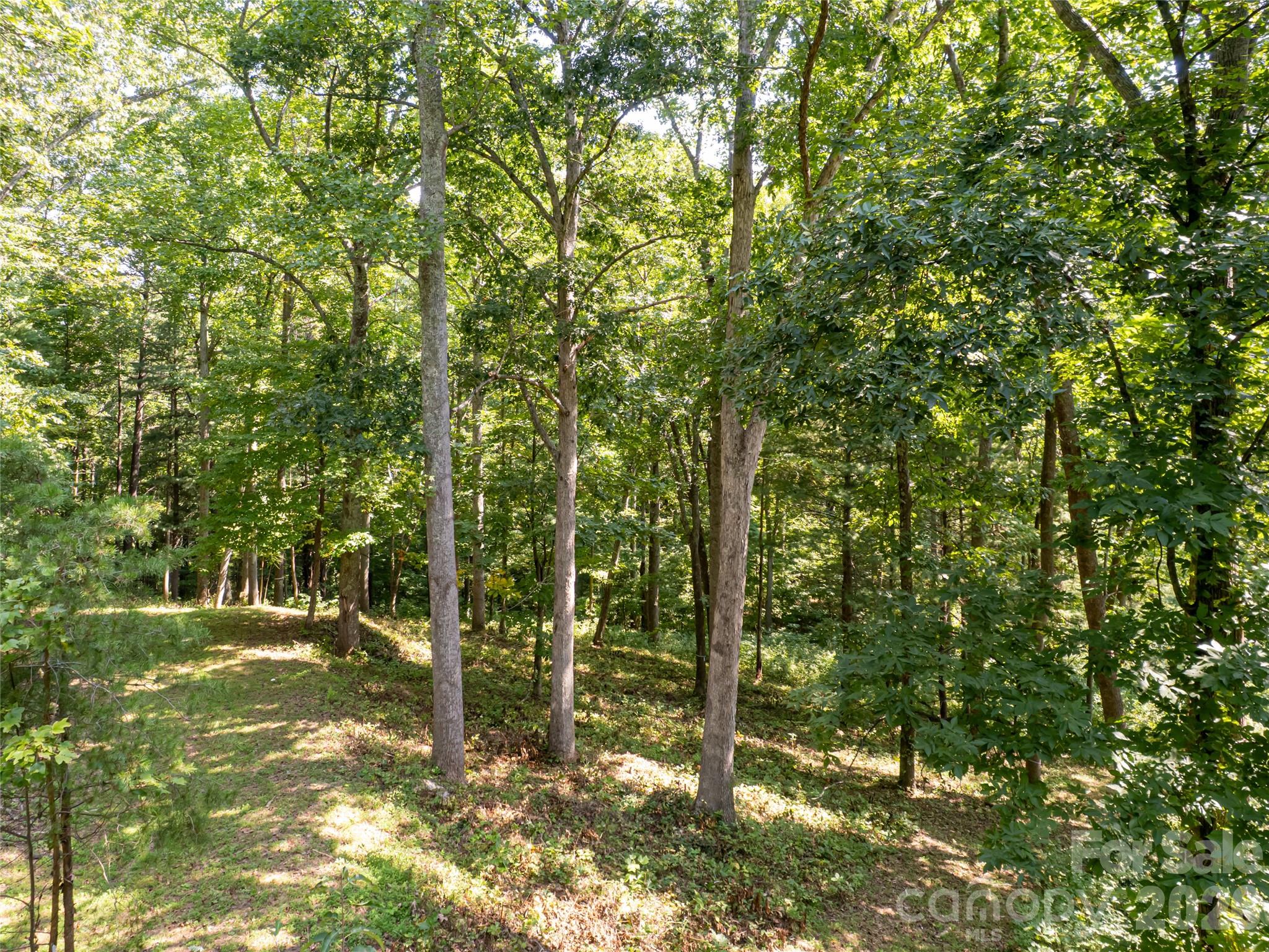 Reynolds Mountain - Land