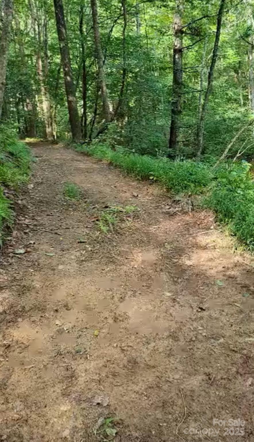 295 Bennett Branch Road