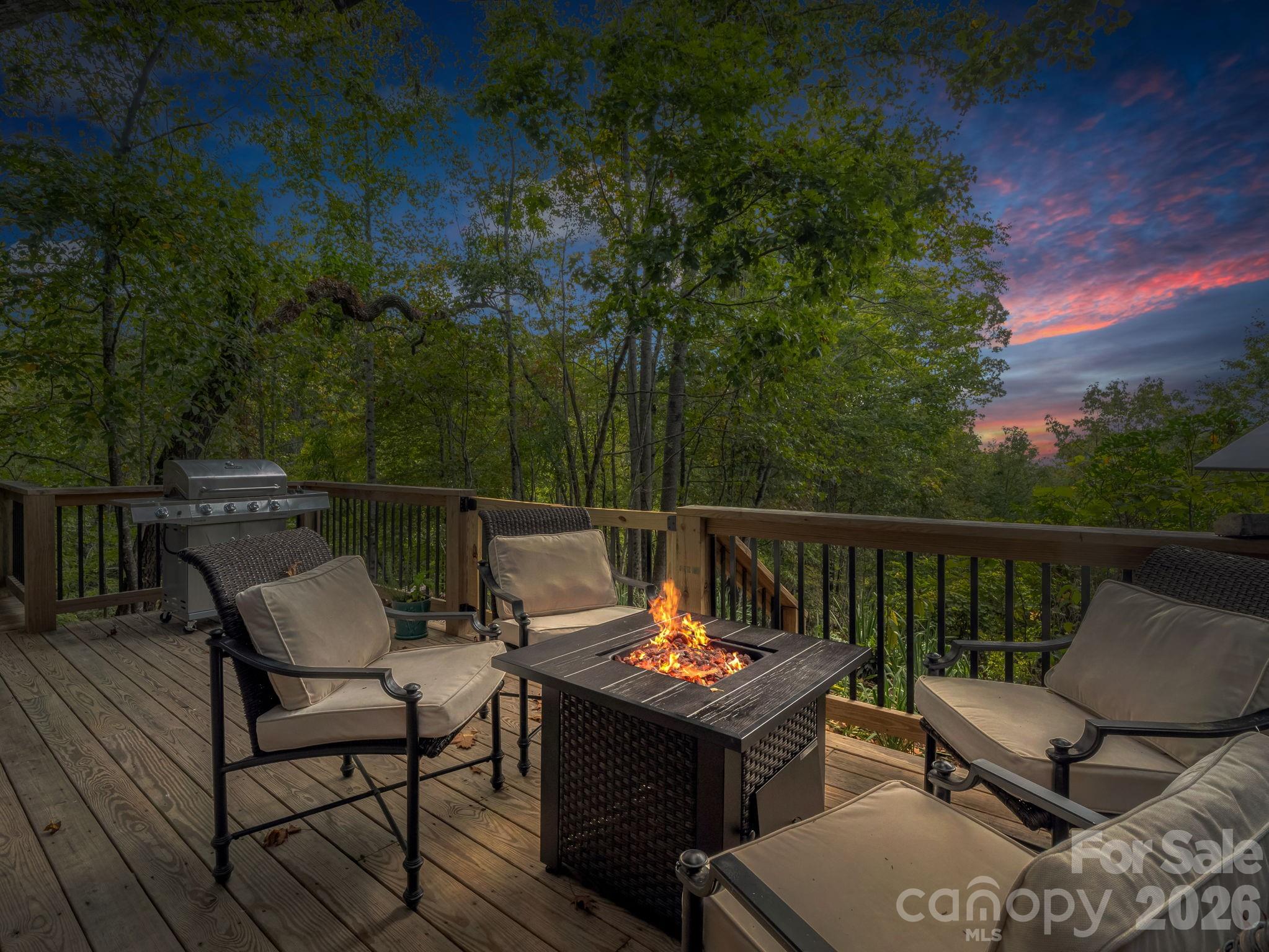 1821 Bearwallow Mountain Road