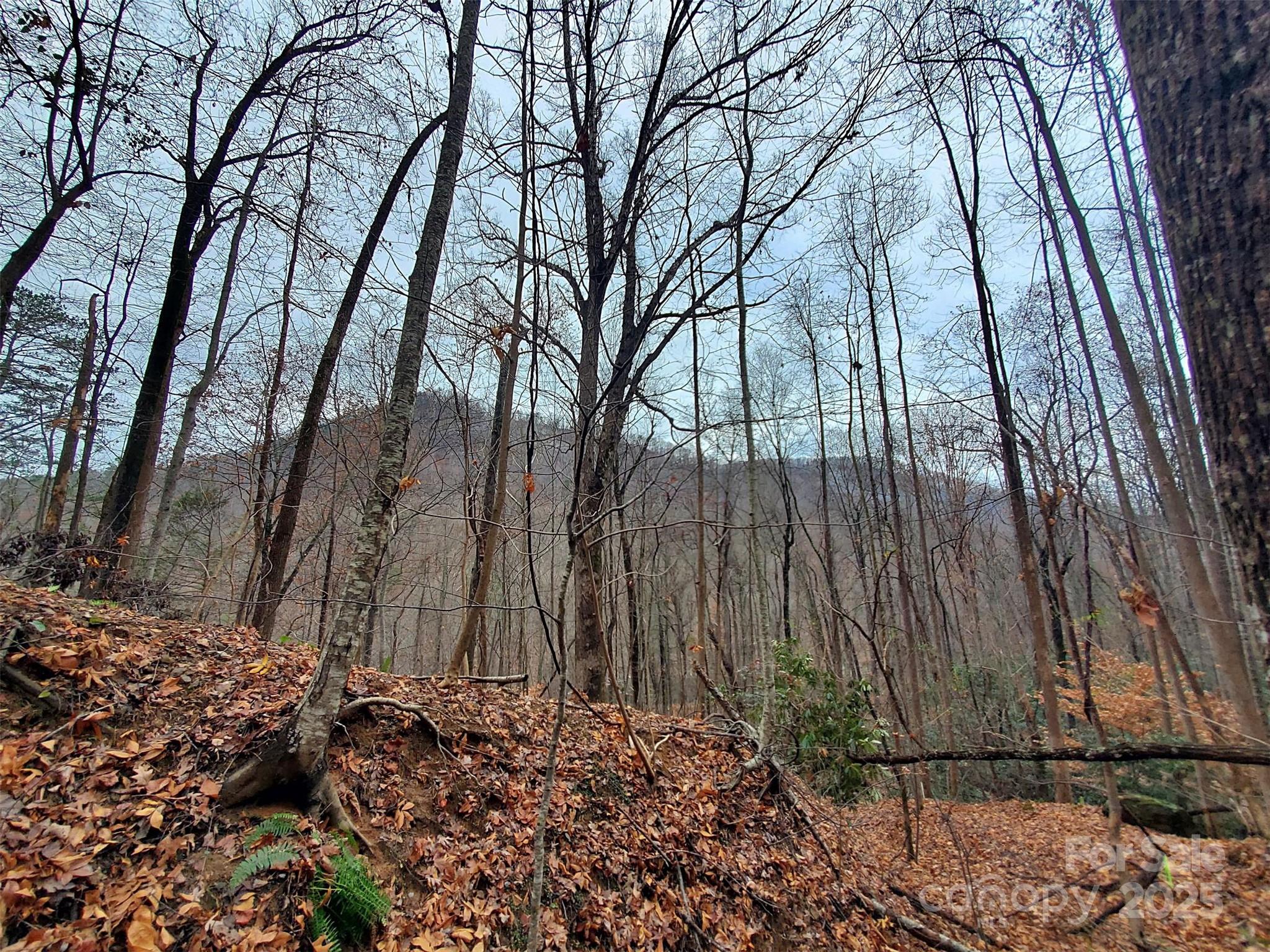 White Water Mountain - Land