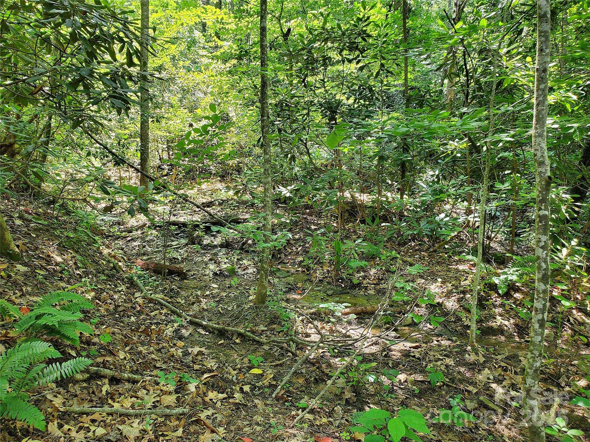 White Water Mountain - Land