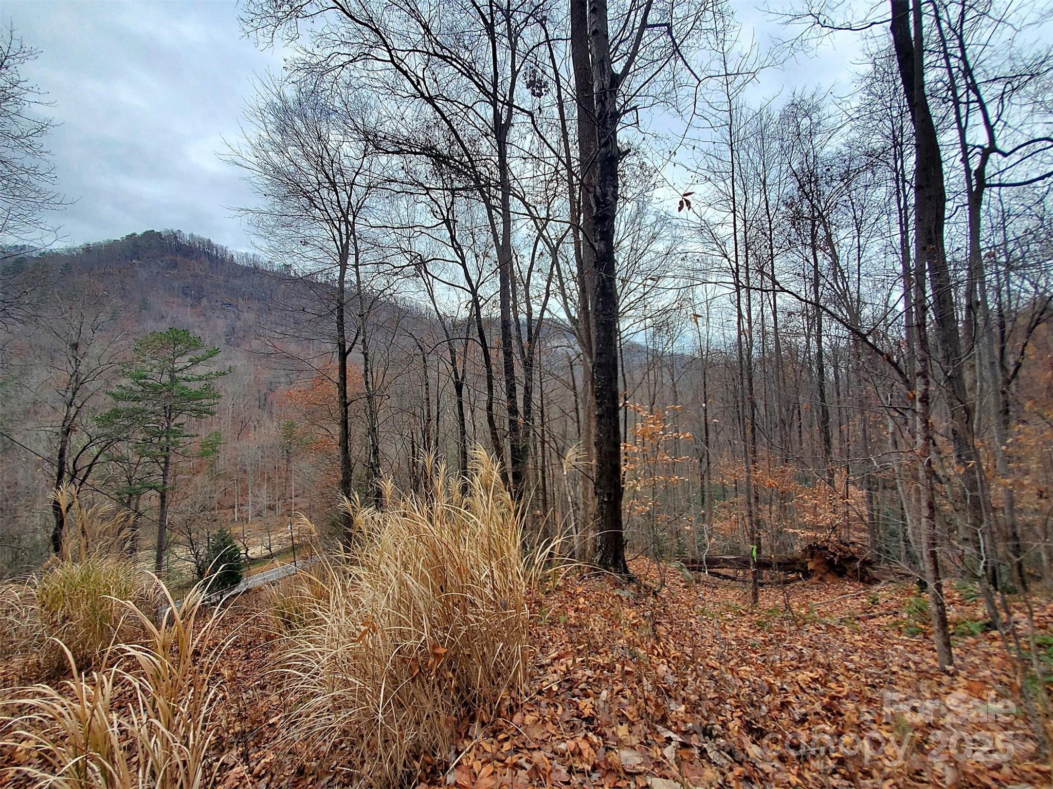 White Water Mountain - Land