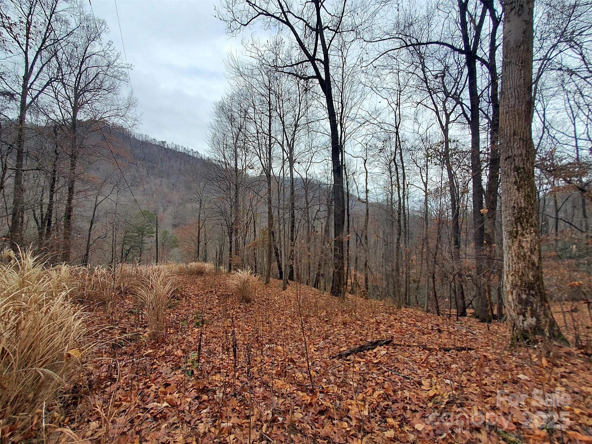 White Water Mountain - Land