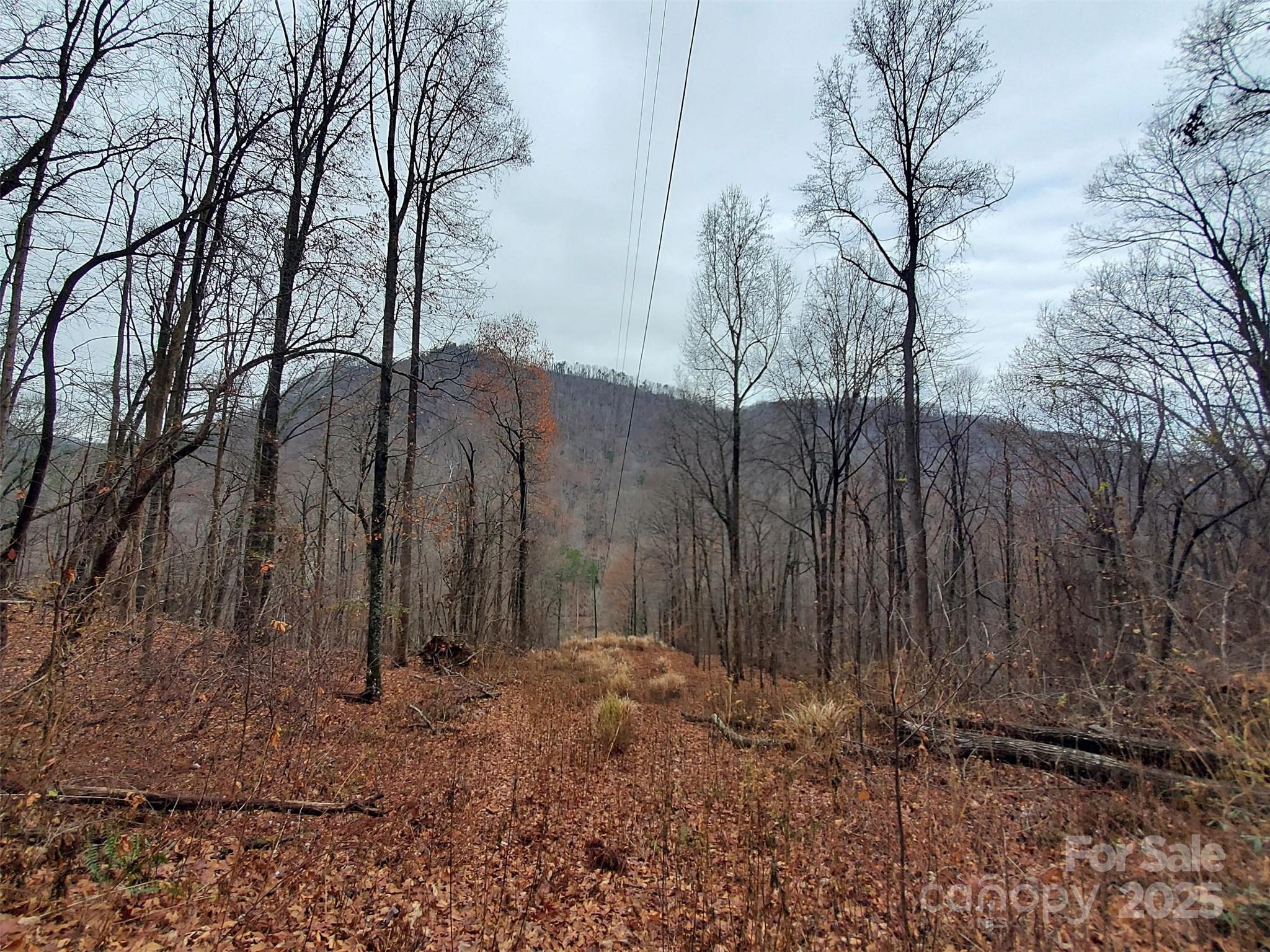 White Water Mountain - Land