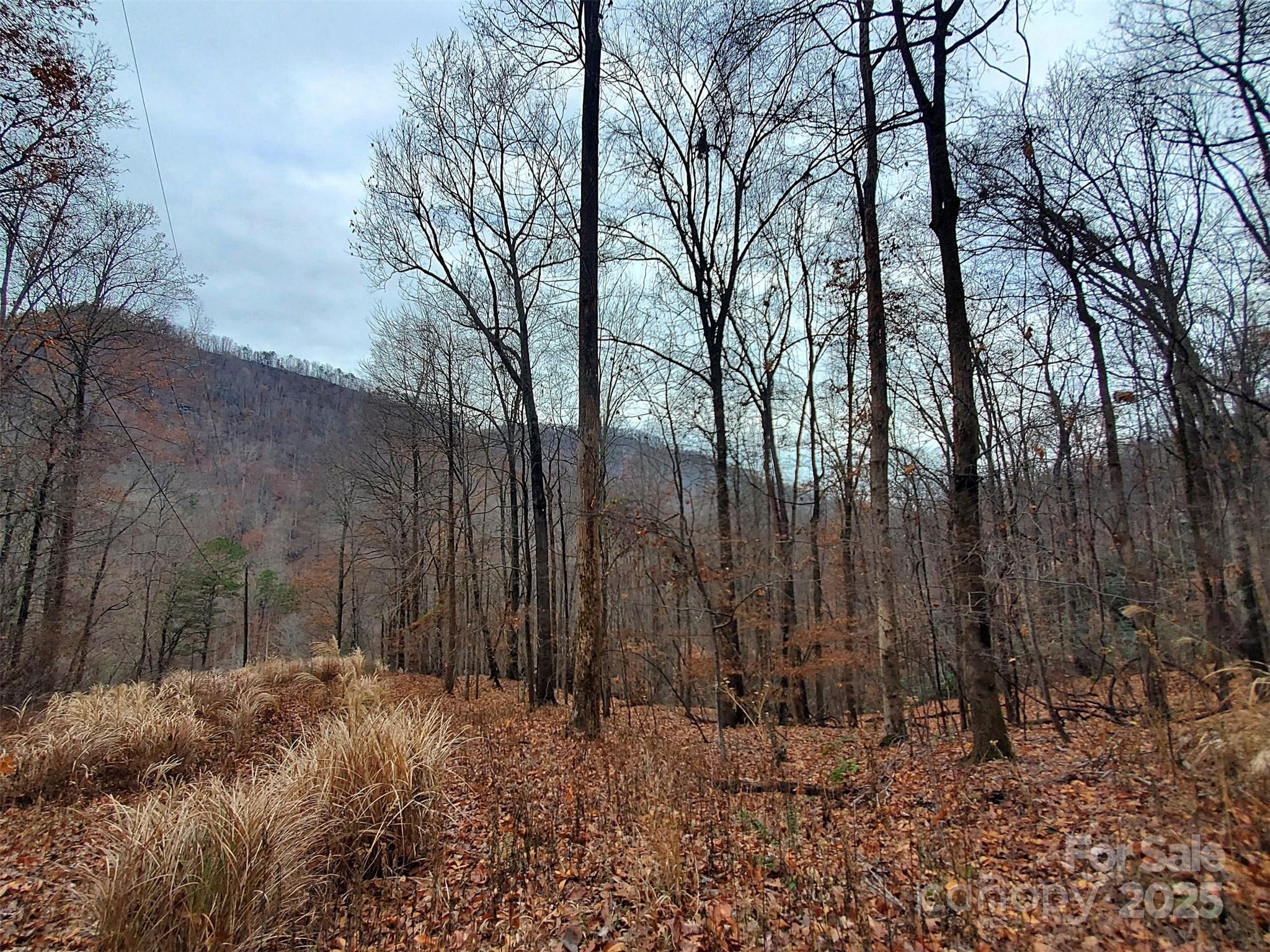 White Water Mountain - Land