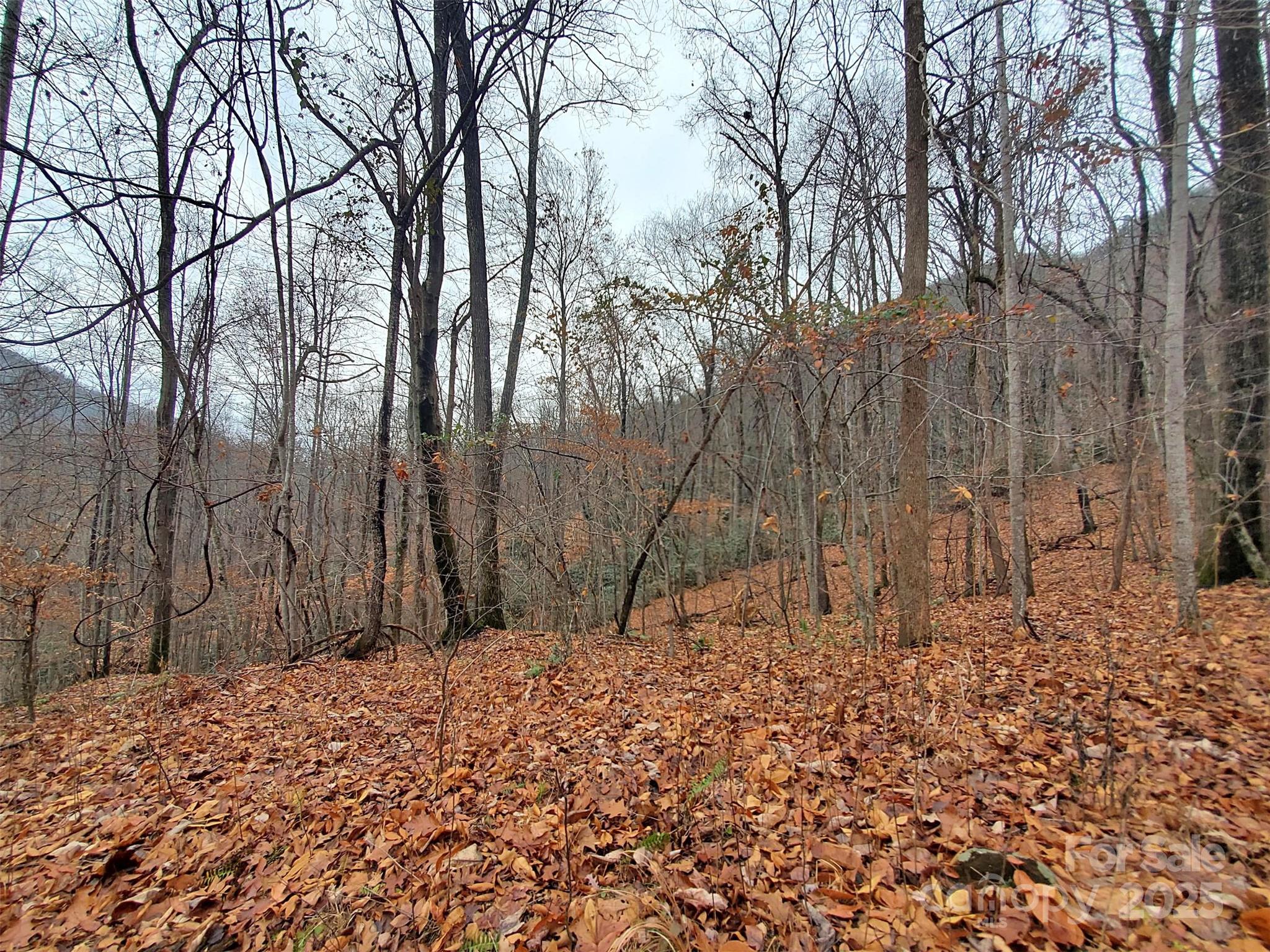 White Water Mountain - Land