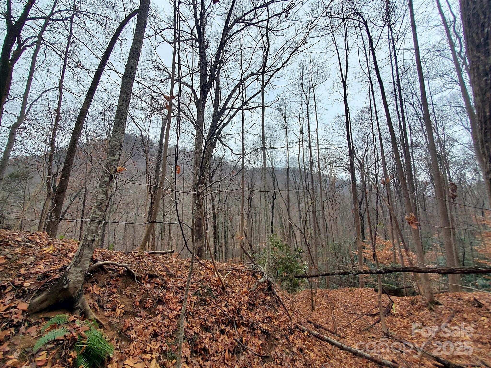 White Water Mountain - Land