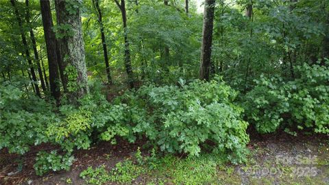 #46 Hemlock Trail Columbus NC 28722
