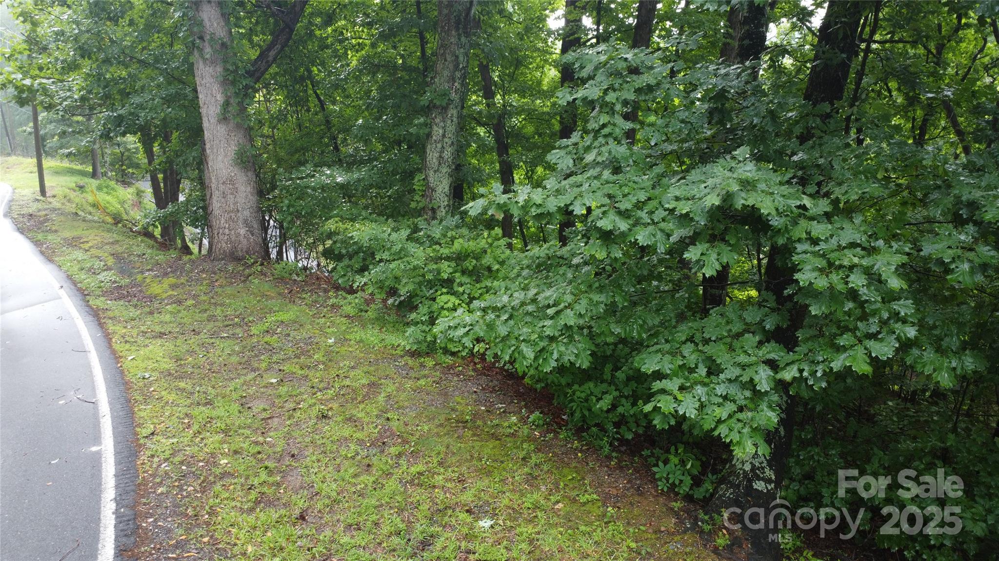 #46 Hemlock Trail
