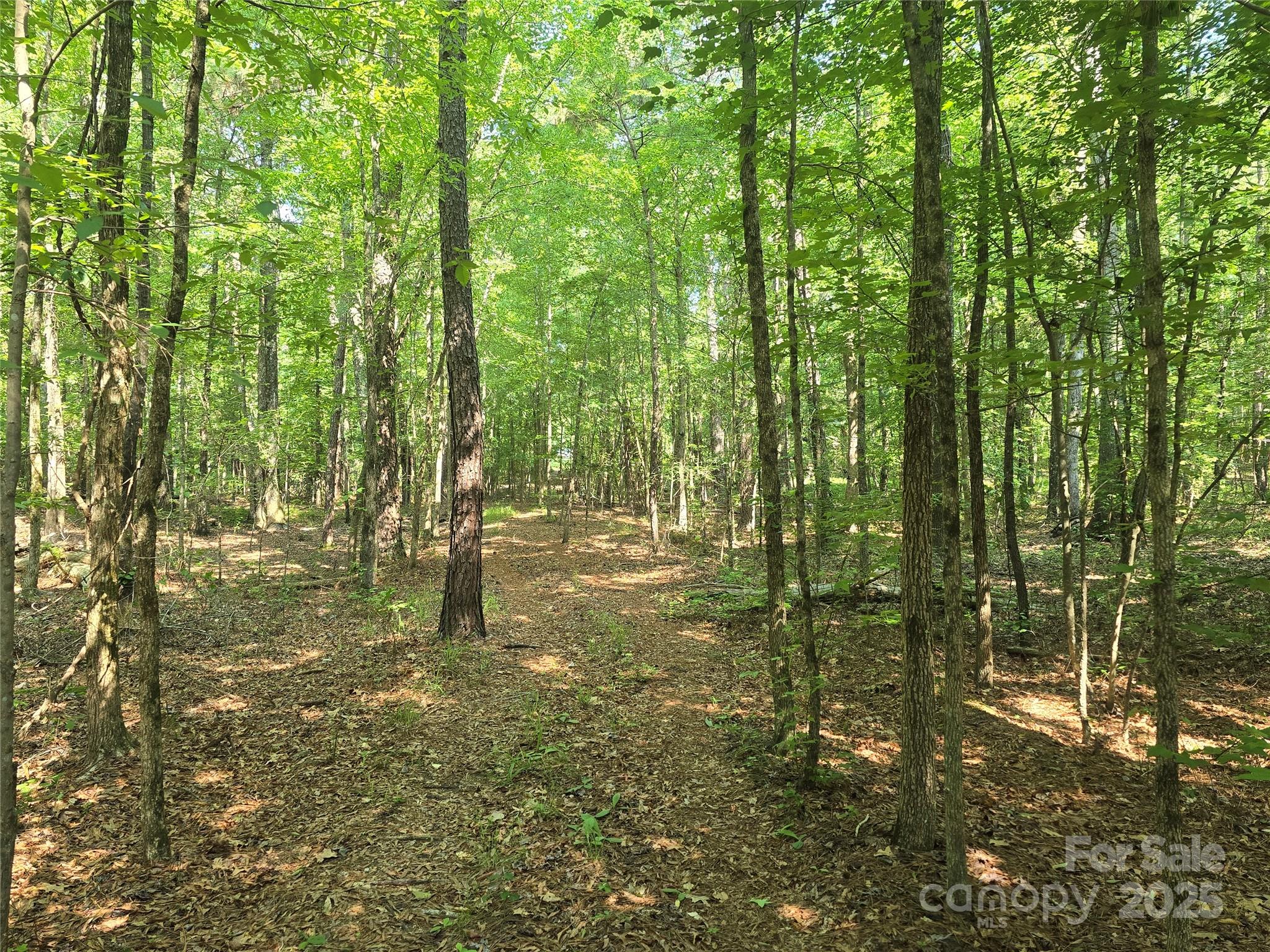 00 Hoke Road