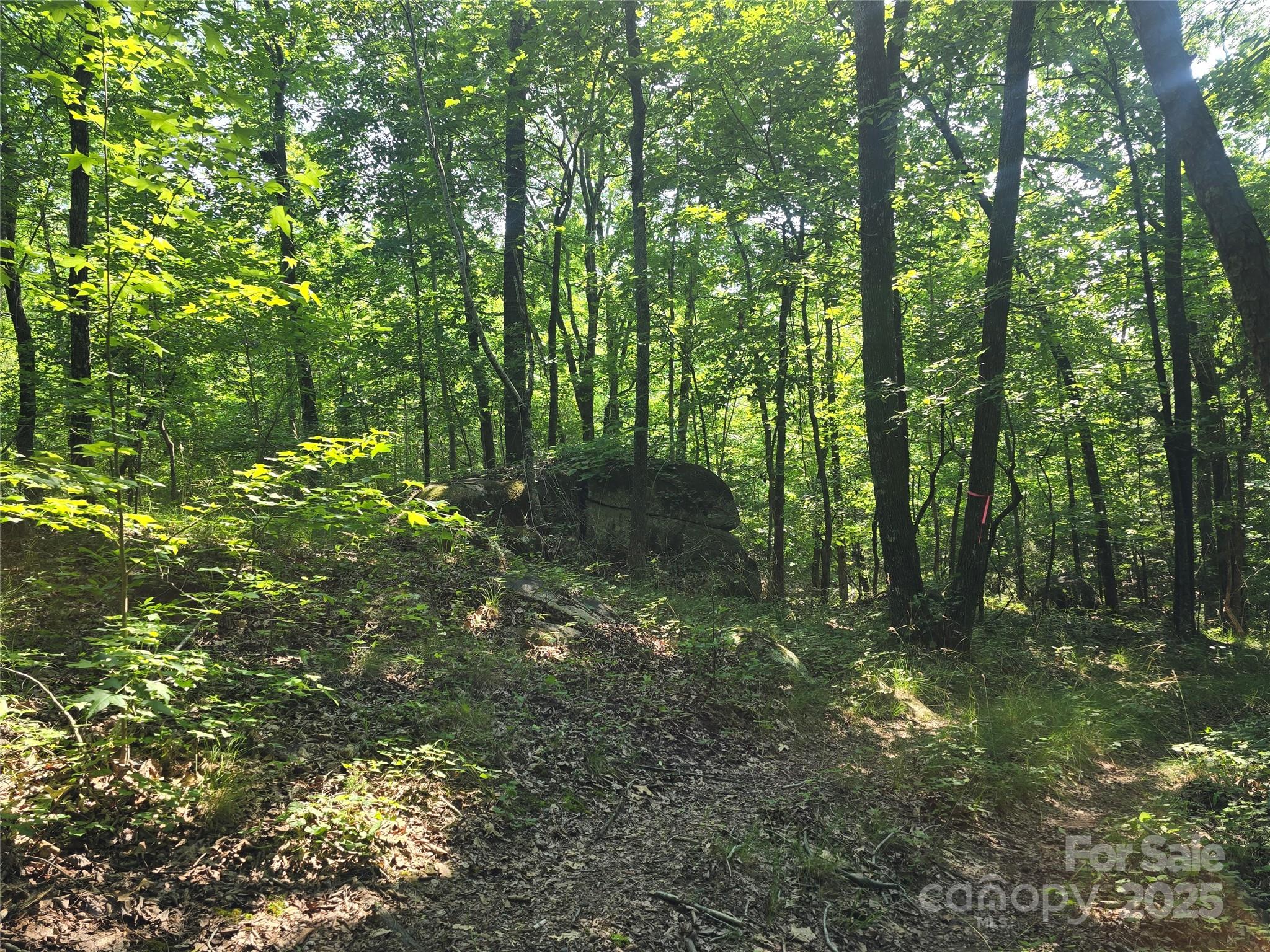 00 Hoke Road