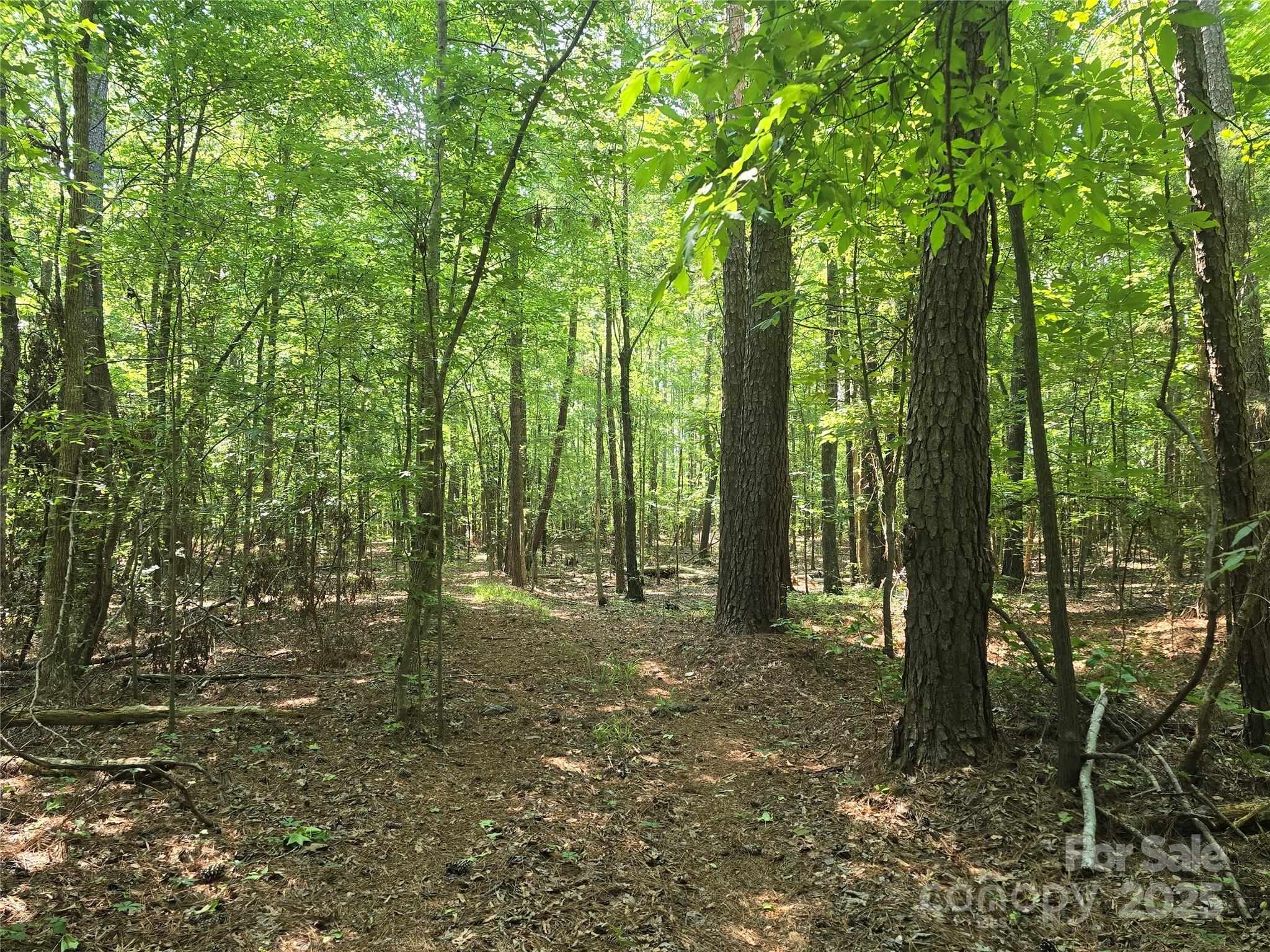 00 Hoke Road