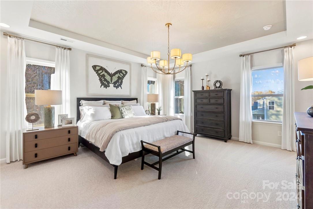 Meadow Vista - Residential