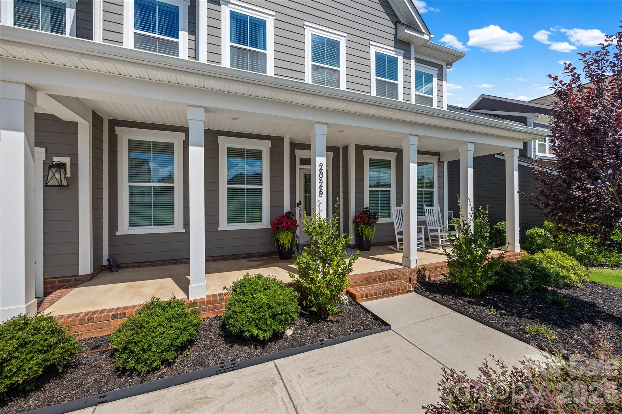 2025 Vettura Court