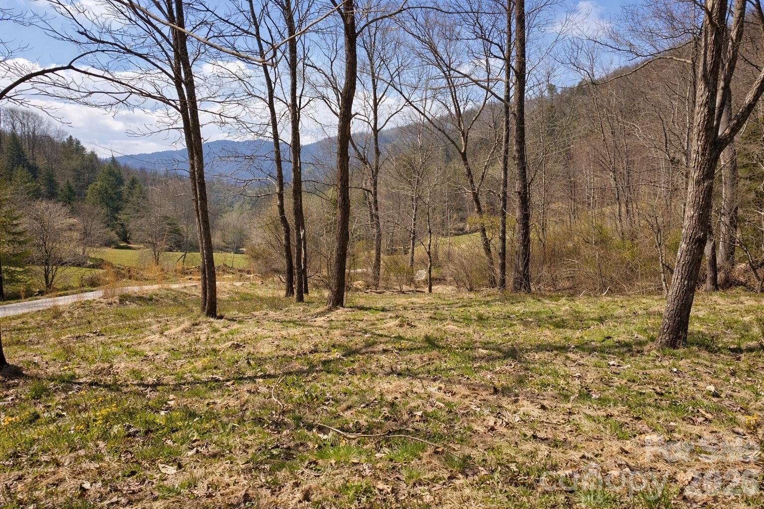 Panther Creek Estates - Residential