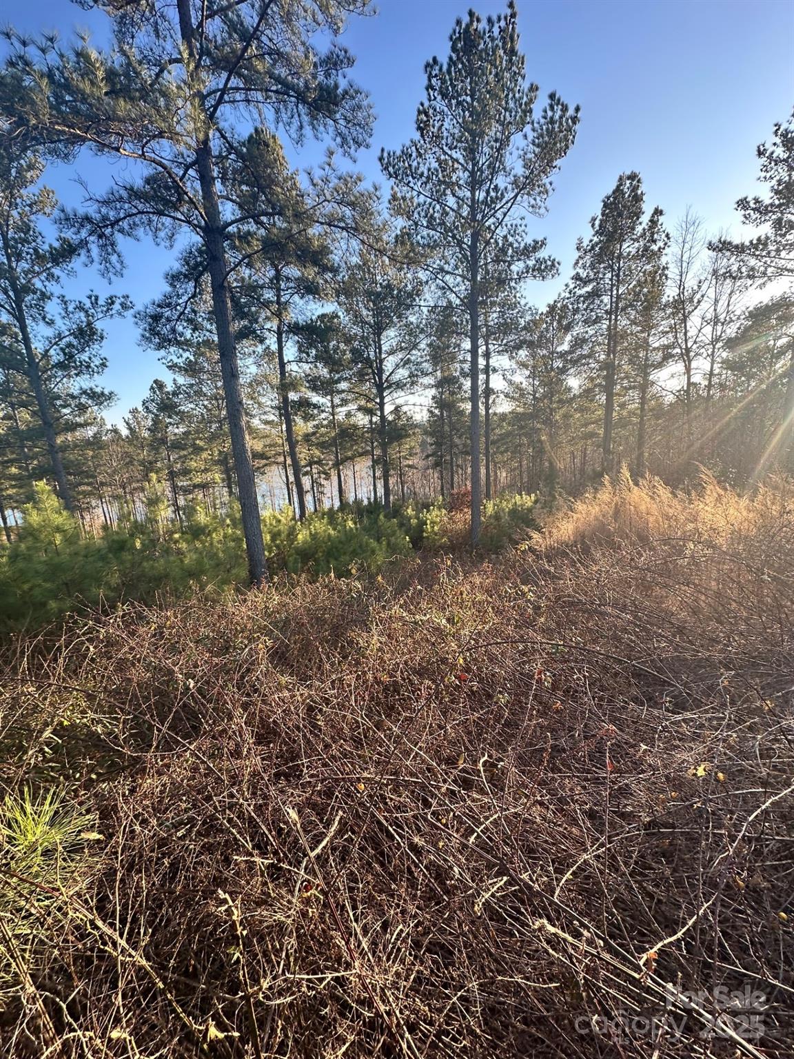 The Waterfront Club - Land