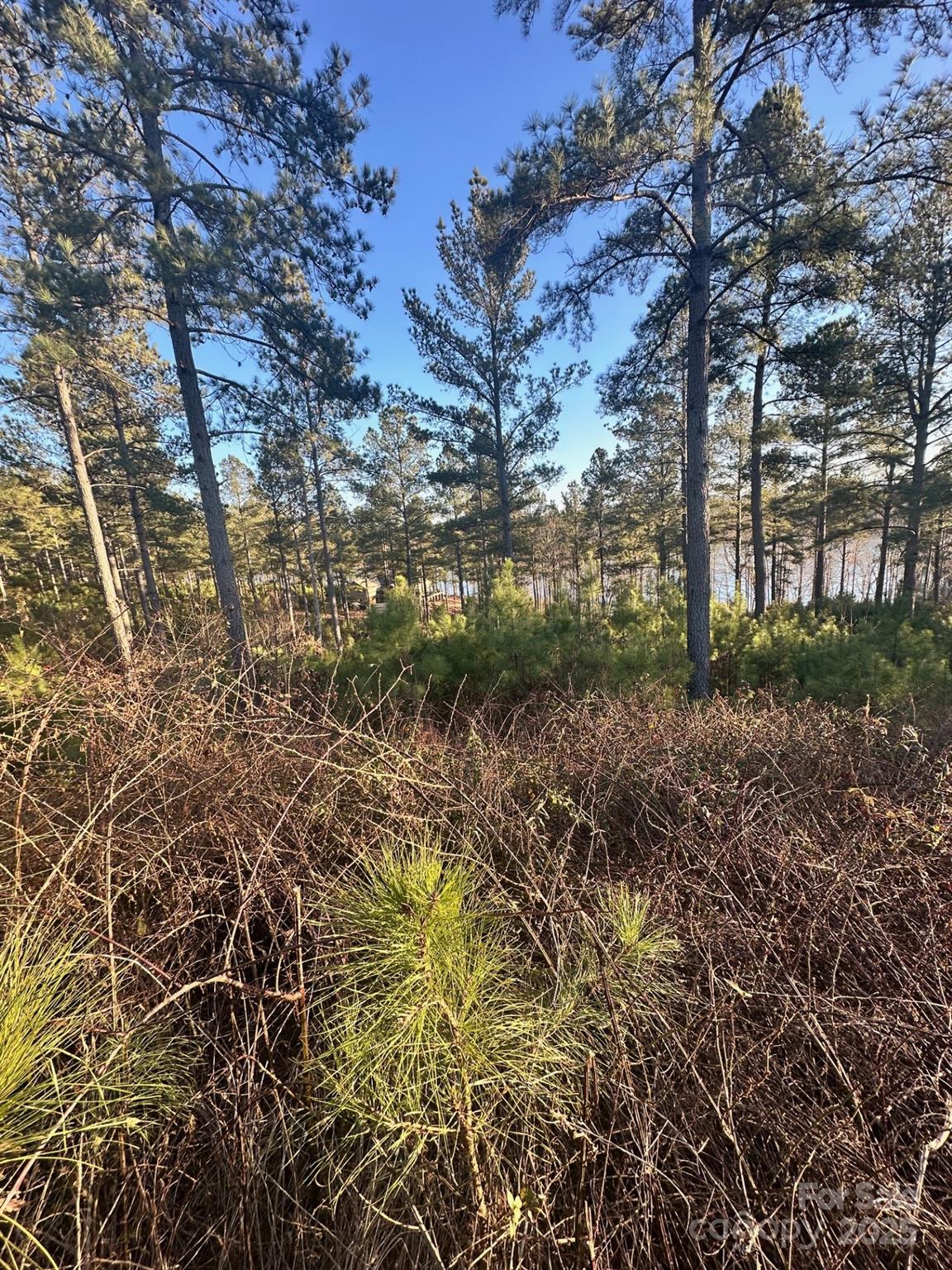 The Waterfront Club - Land