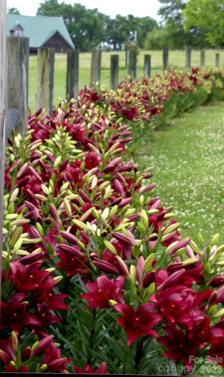 Lewis Farm Estates - Residential