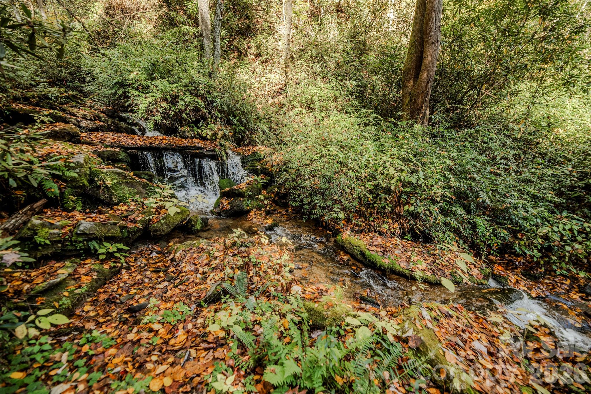 195 Still Waters Lane