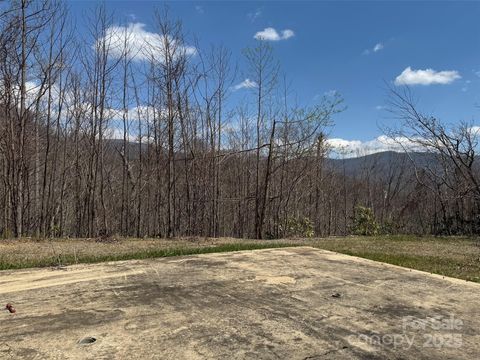 99999 Long Branch Road 1 & 2 Swannanoa NC 28778