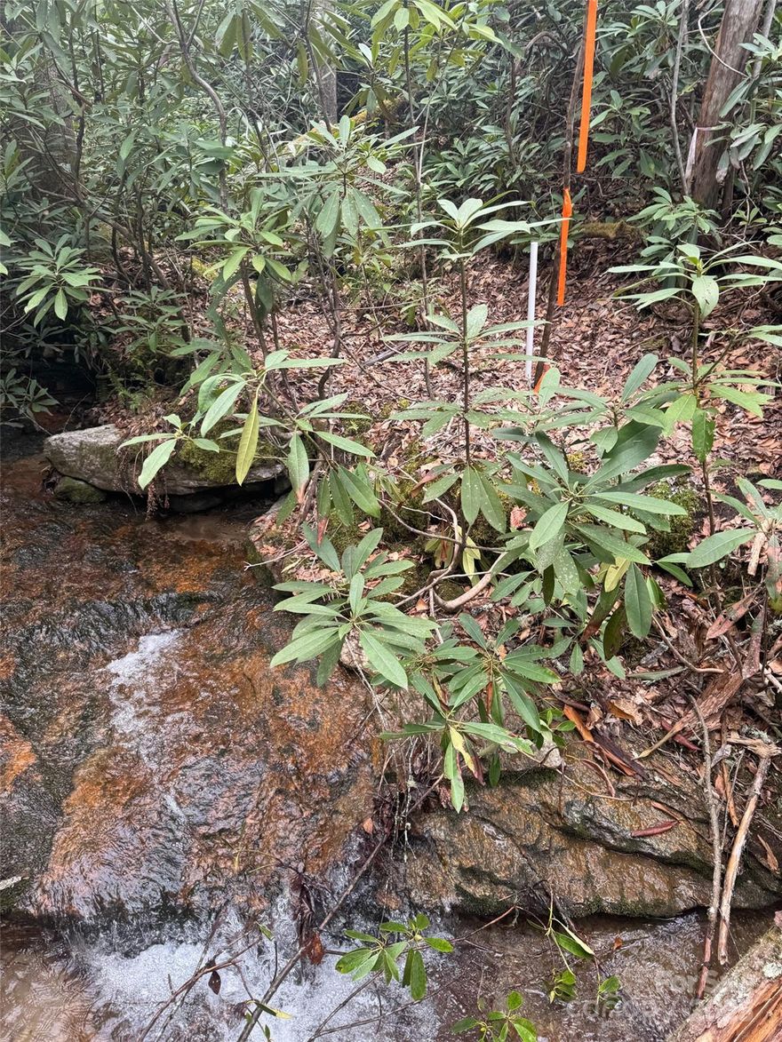 Tranquil 2.5-Acre Homesite with Bold Creek in Pisgah Forest. Discover the perfect blend of privacy, natural beauty, and convenience on this stunning 2.5-acre homesite nestled in the heart of Pisgah Forest, NC. This serene property features a bold, year-round creek, enchanting moss-covered boulders.  Surrounded by nature and located in a peaceful setting of well-maintained homes, this homesite offers the ideal canvas for a cozy mountain retreat or a full-time residence. With a minimum build requirement of just 850 sq ft, there's flexibility to create a charming getaway or custom cabin tailored to your lifestyle.
Enjoy the best of mountain living with quick access to outdoor adventure. You'll be just minutes from downtown Brevard, the trails and waterfalls of Pisgah National Forest, and the scenic beauty of DuPont State Forest. Schedule your visit today and experience the tranquility for yourself. Roughed in drive is now covered in leaves. Spetic permit on file