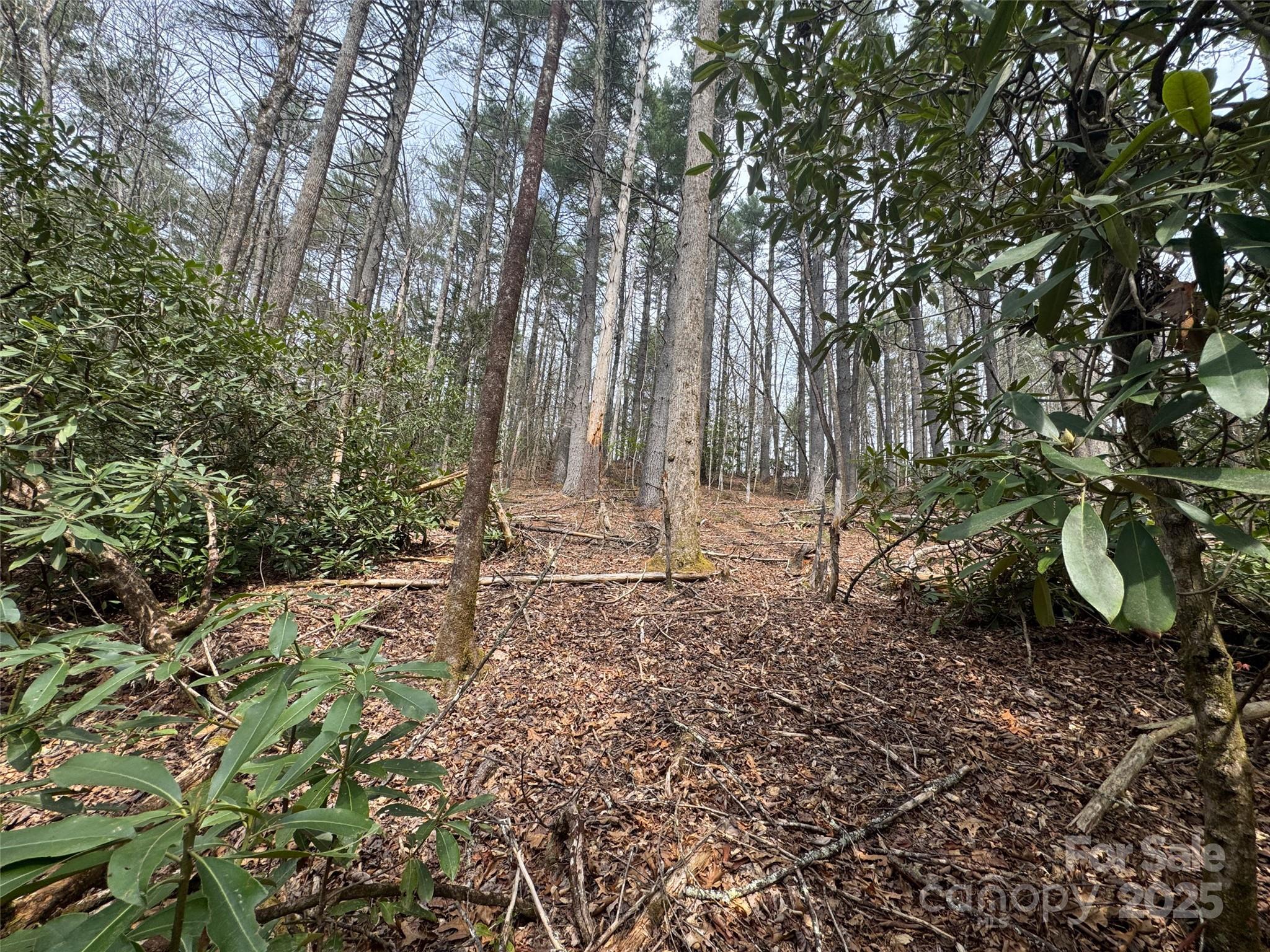 Sweetwater Farms - Land