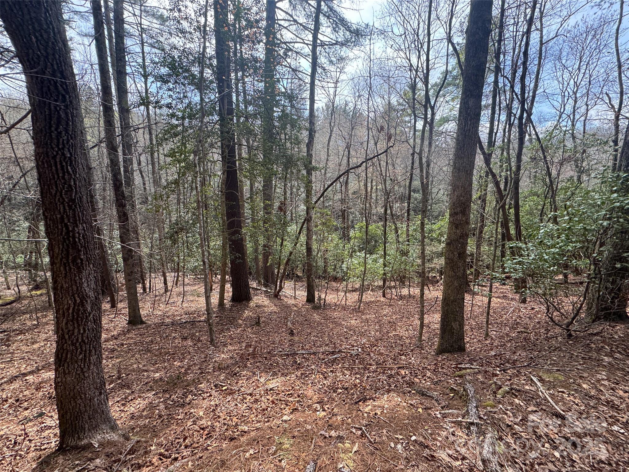 Sweetwater Farms - Land