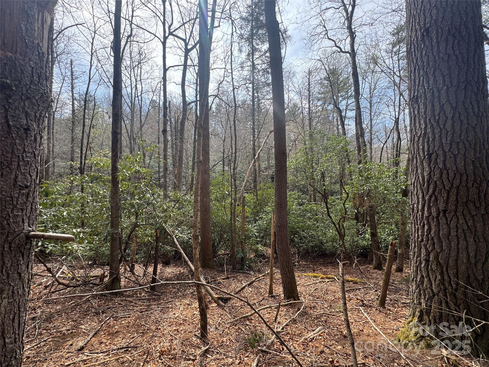 Sweetwater Farms - Land