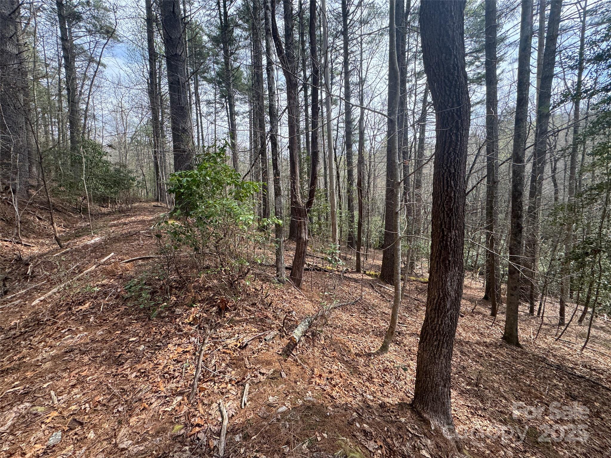 Sweetwater Farms - Land