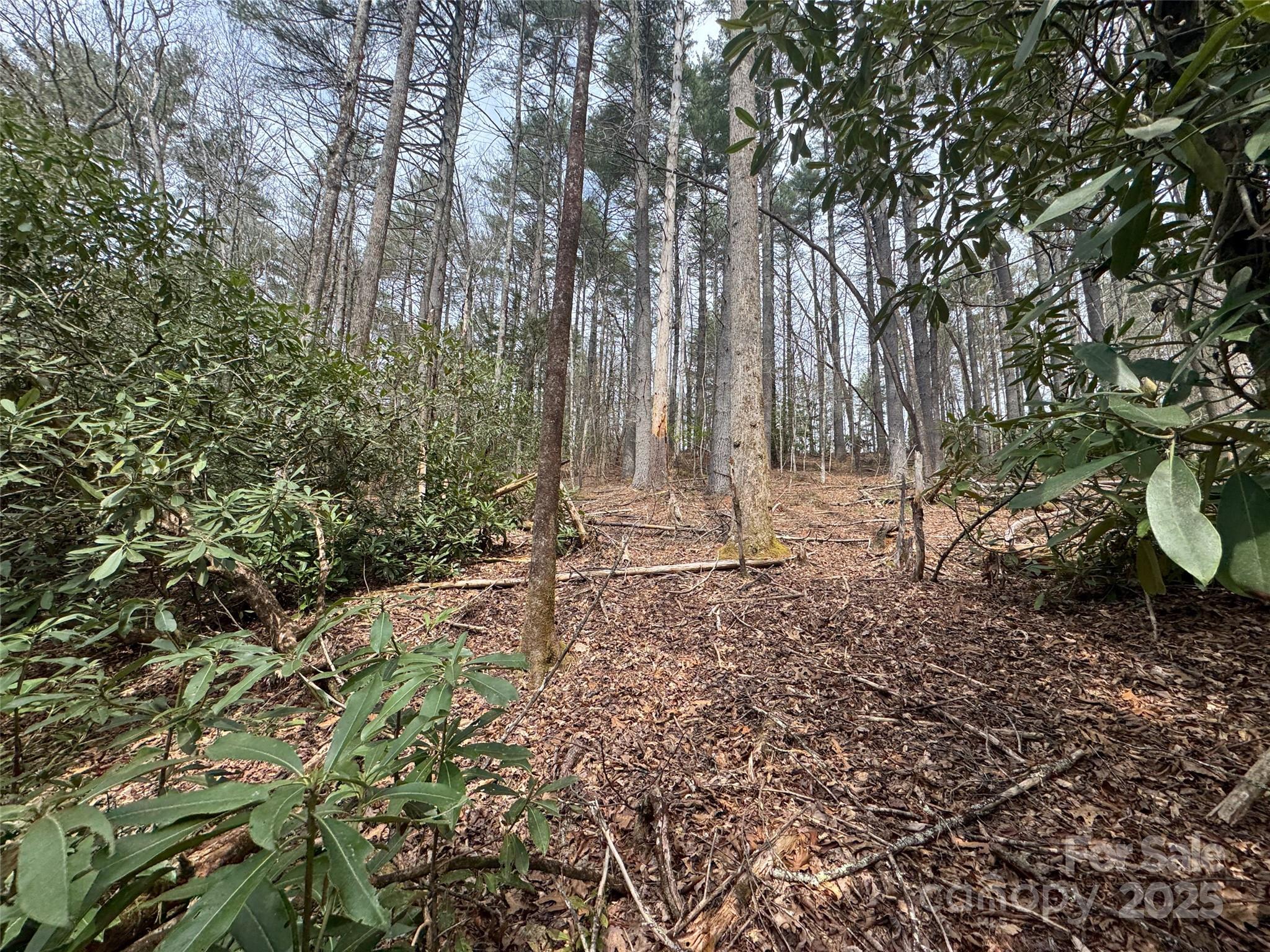 Tract A Cherrywood Lane A