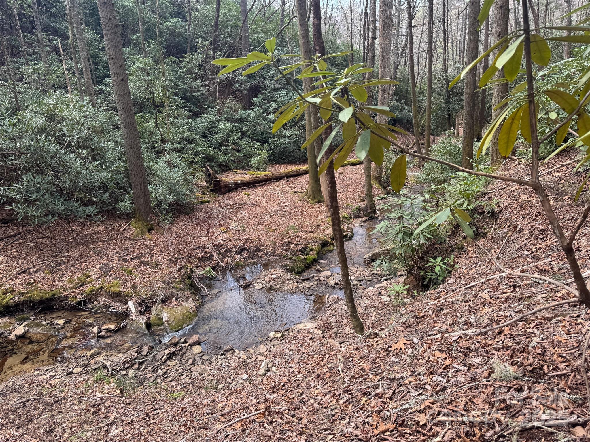 Sweetwater Farms - Land