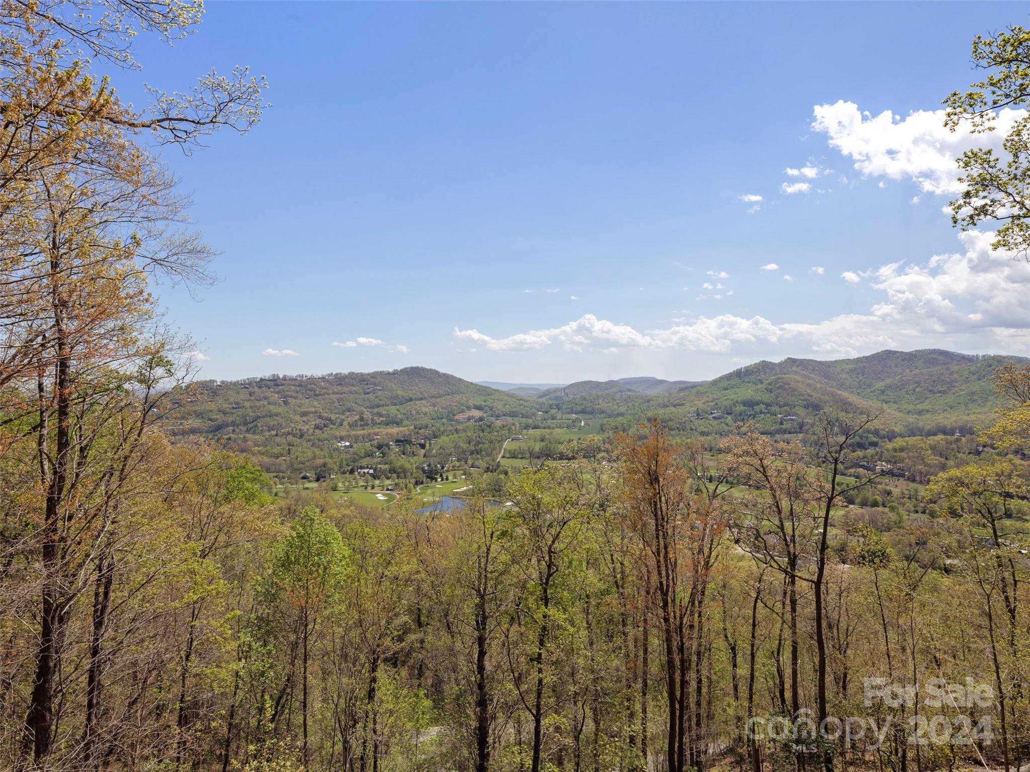 The Cliffs at Walnut Cove - Residential