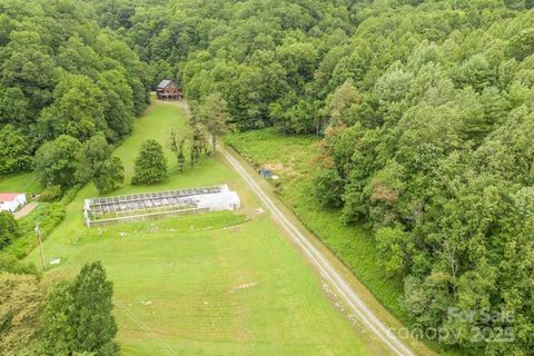 8020 Meadow Fork Road Hot Springs NC 28743