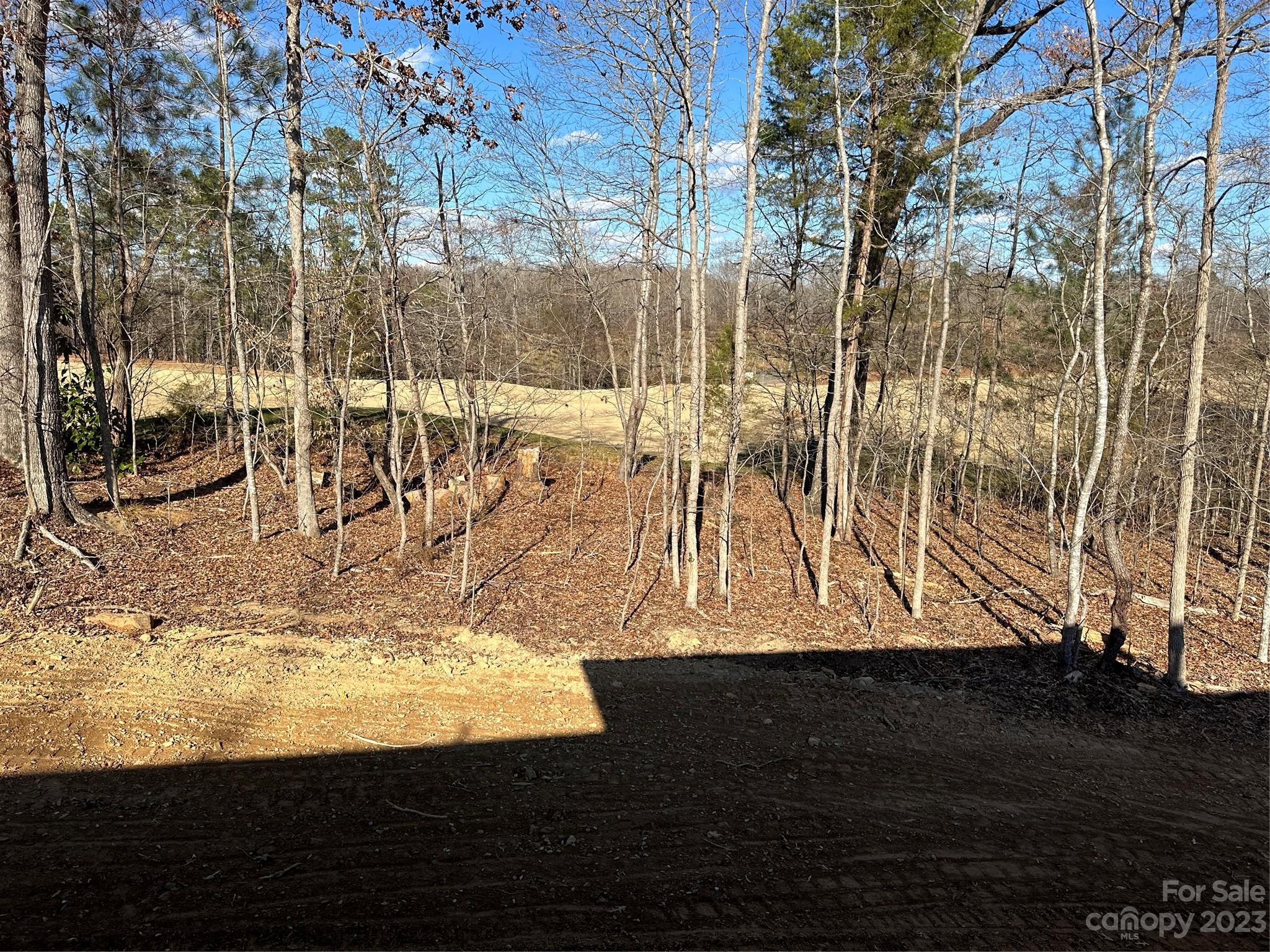 The Villages at Red Bridge - Residential