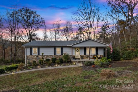 A home in Horse Shoe