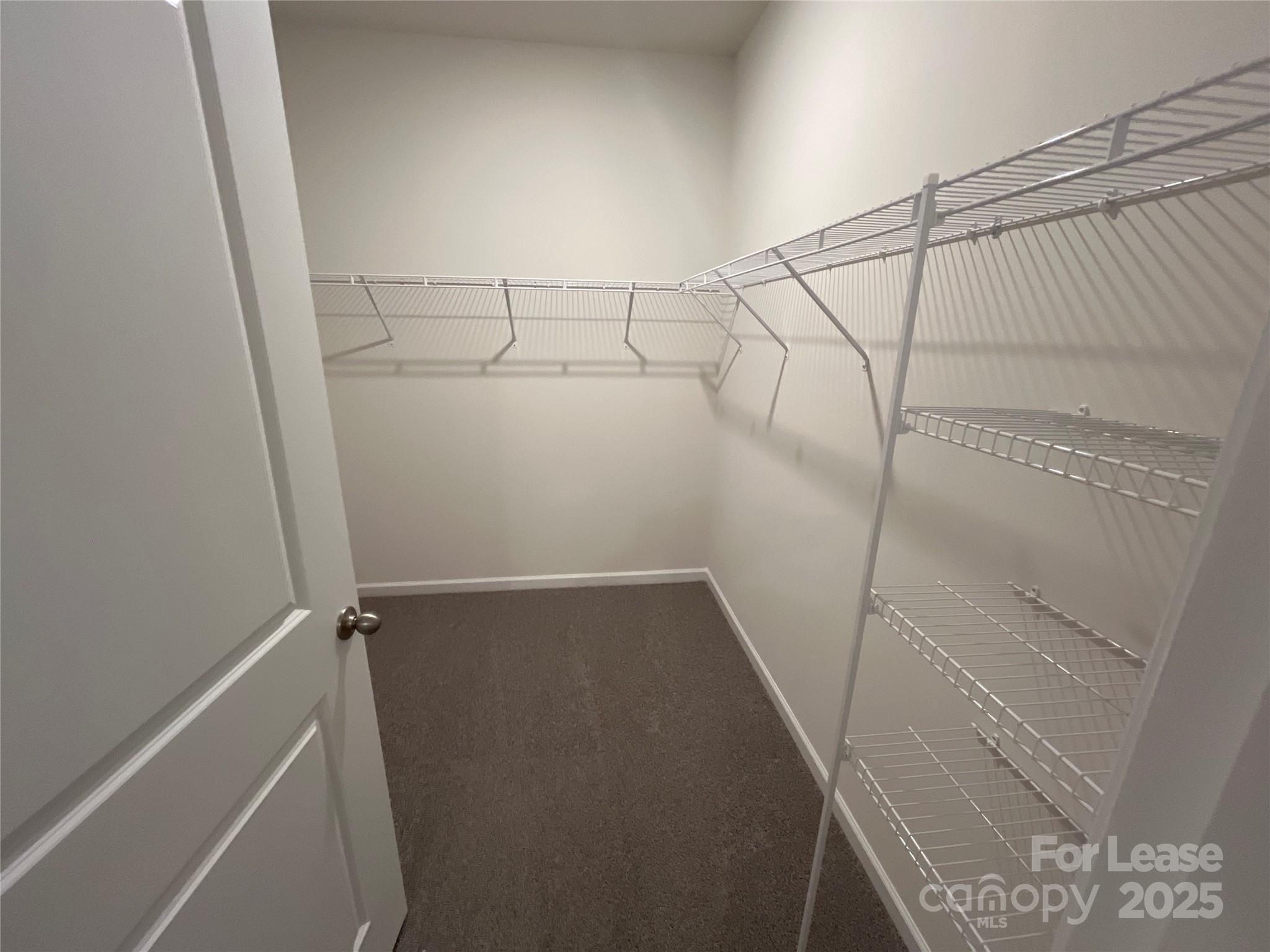 Wallace Springs - Residential Lease