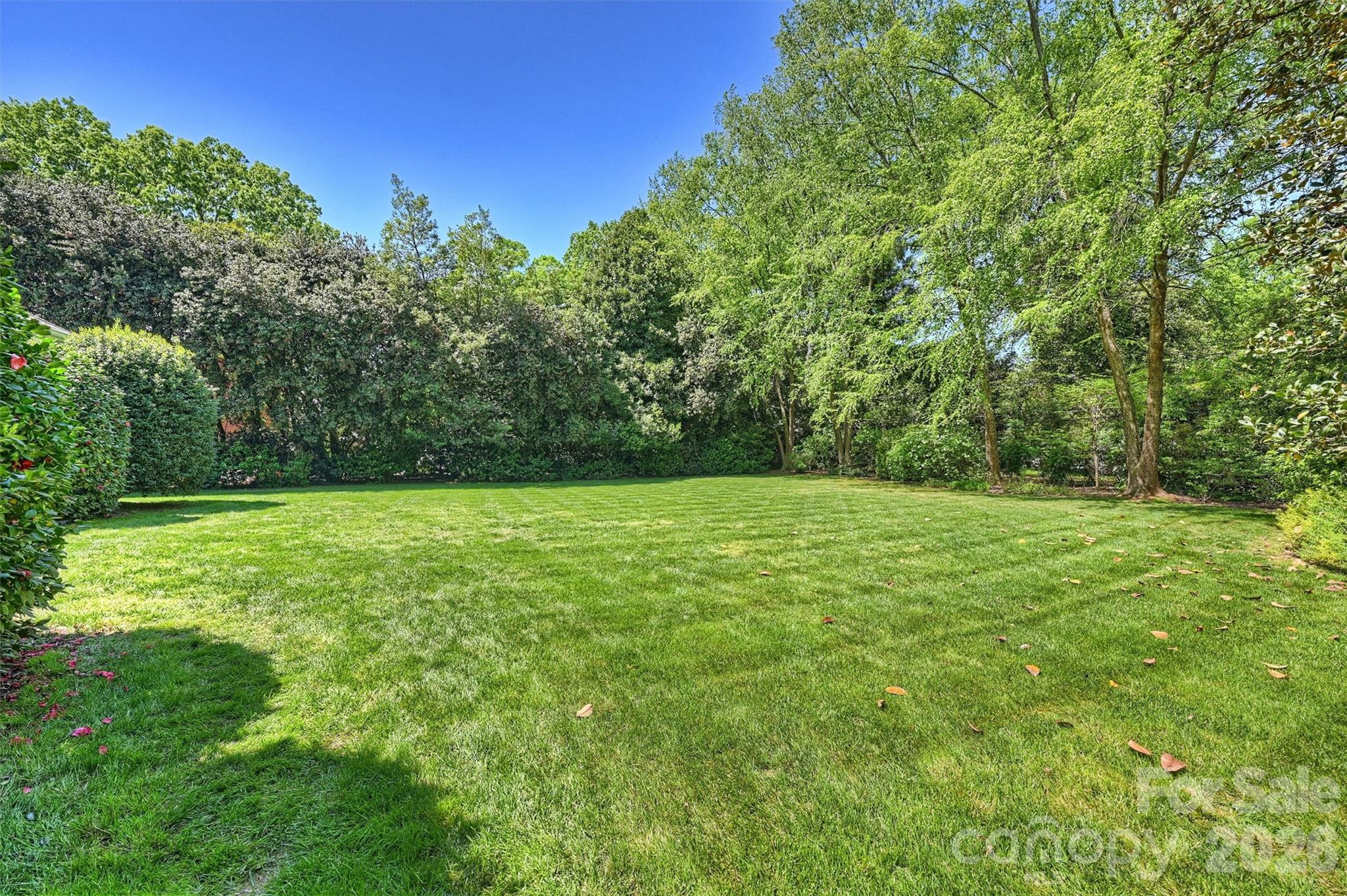 Myers Park - Residential