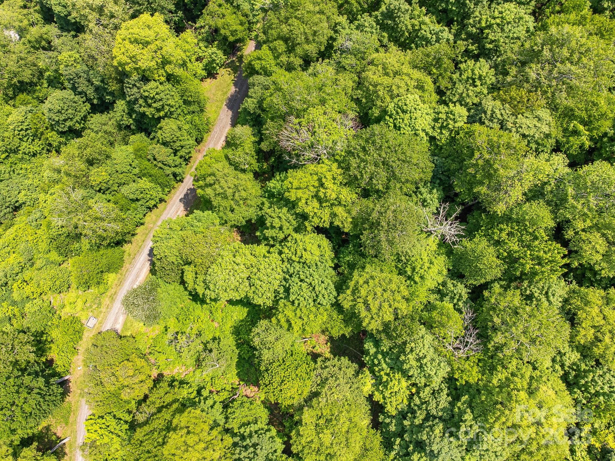The Preserve at Wolf Laurel - Land