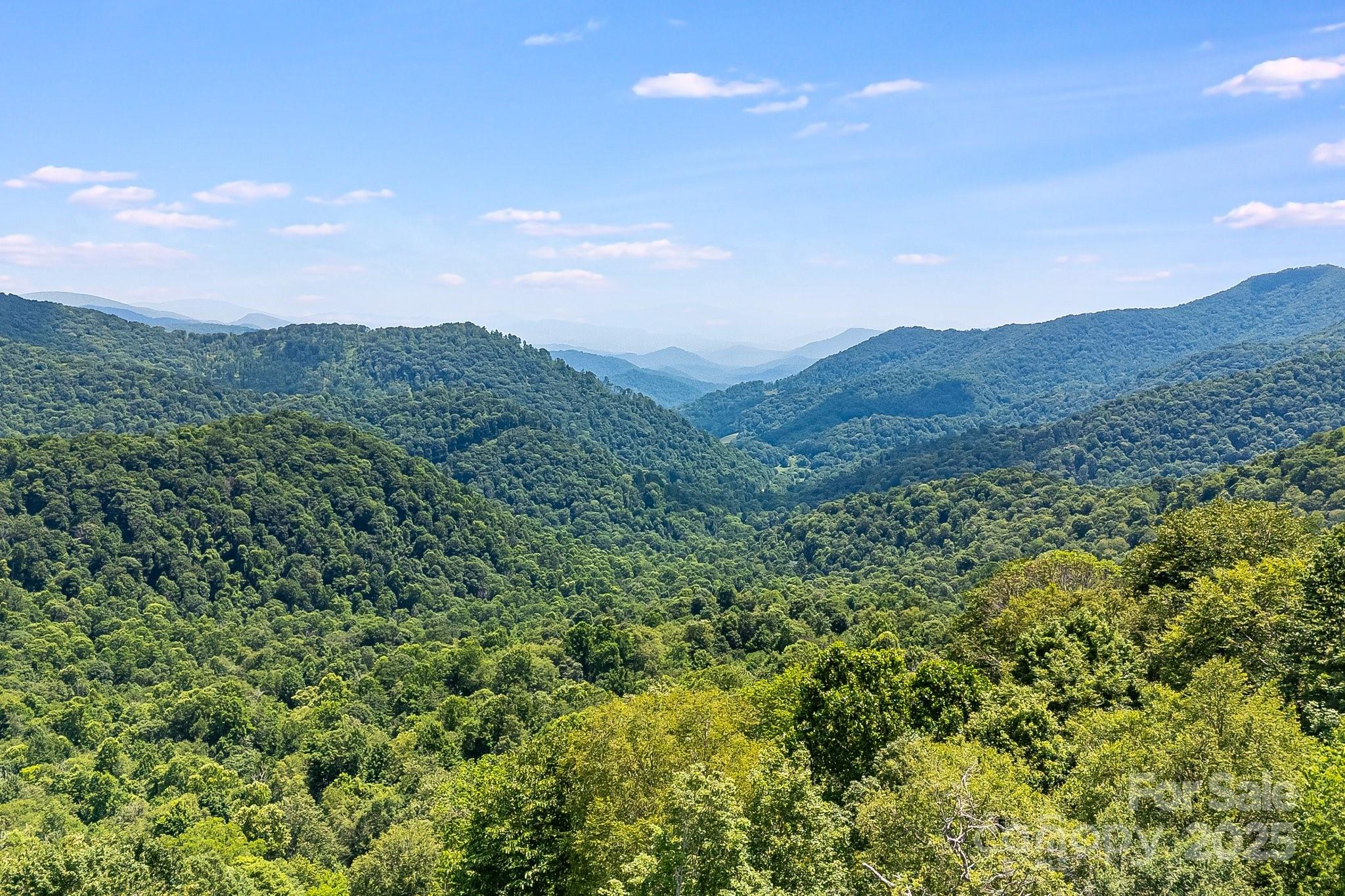 The Preserve at Wolf Laurel - Land
