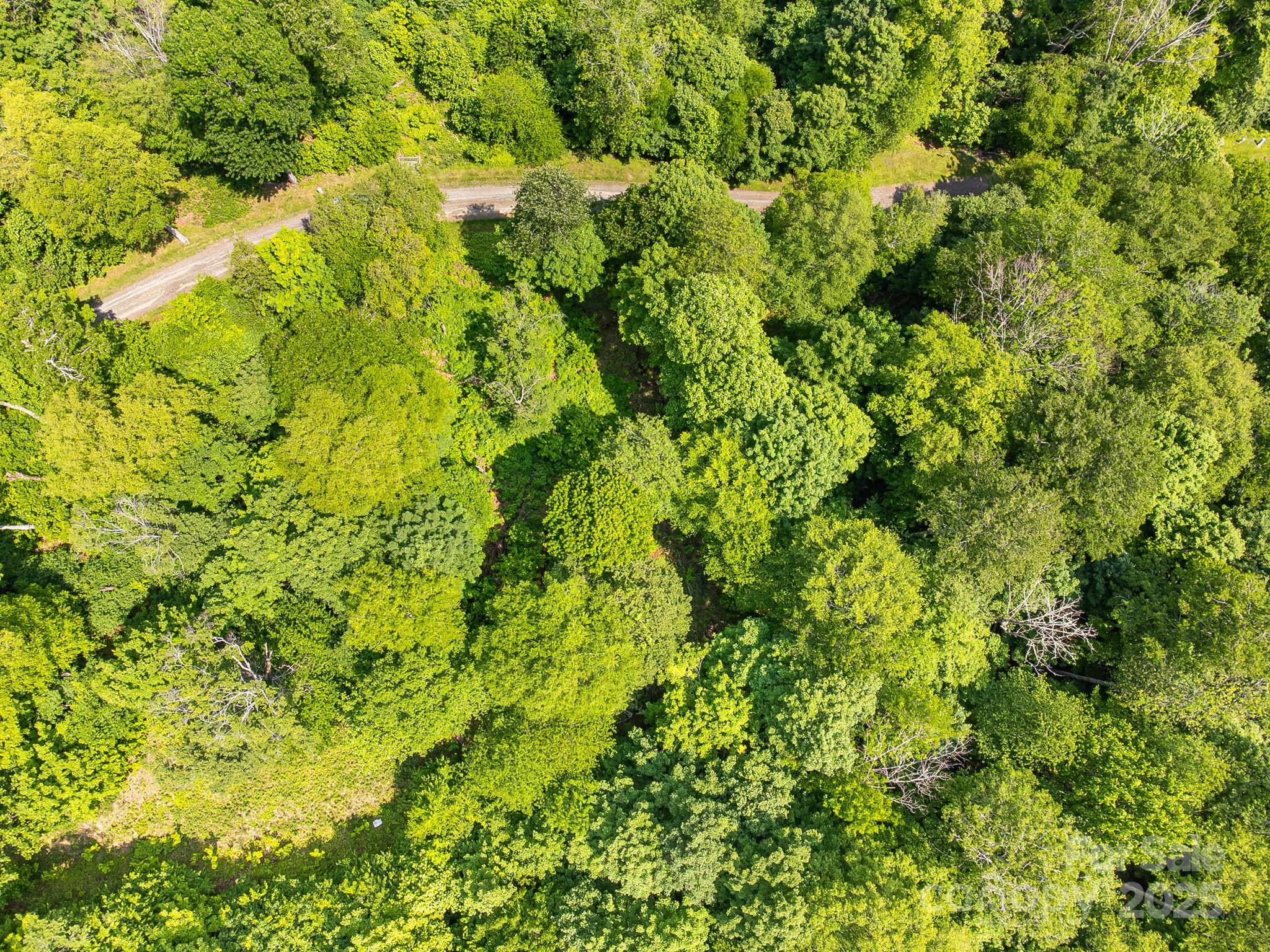 The Preserve at Wolf Laurel - Land