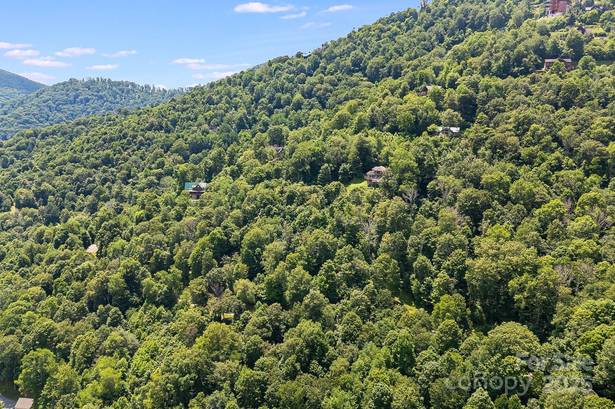 The Preserve at Wolf Laurel - Land