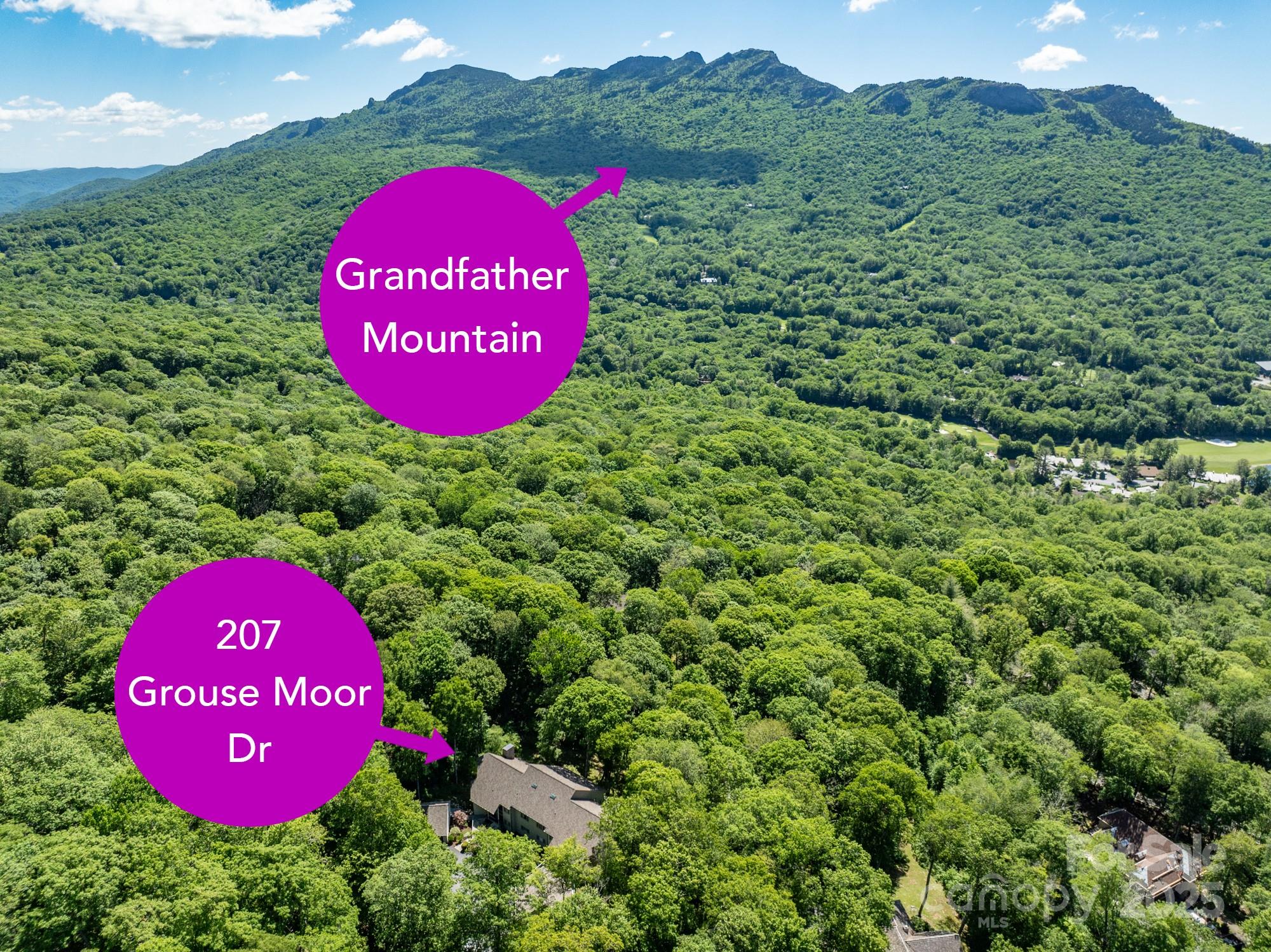 207 Grouse Moor Drive