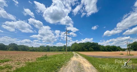 Photo of 36299 Finger Road, Mount Pleasant, NC 28124 (MLS # 4299681)