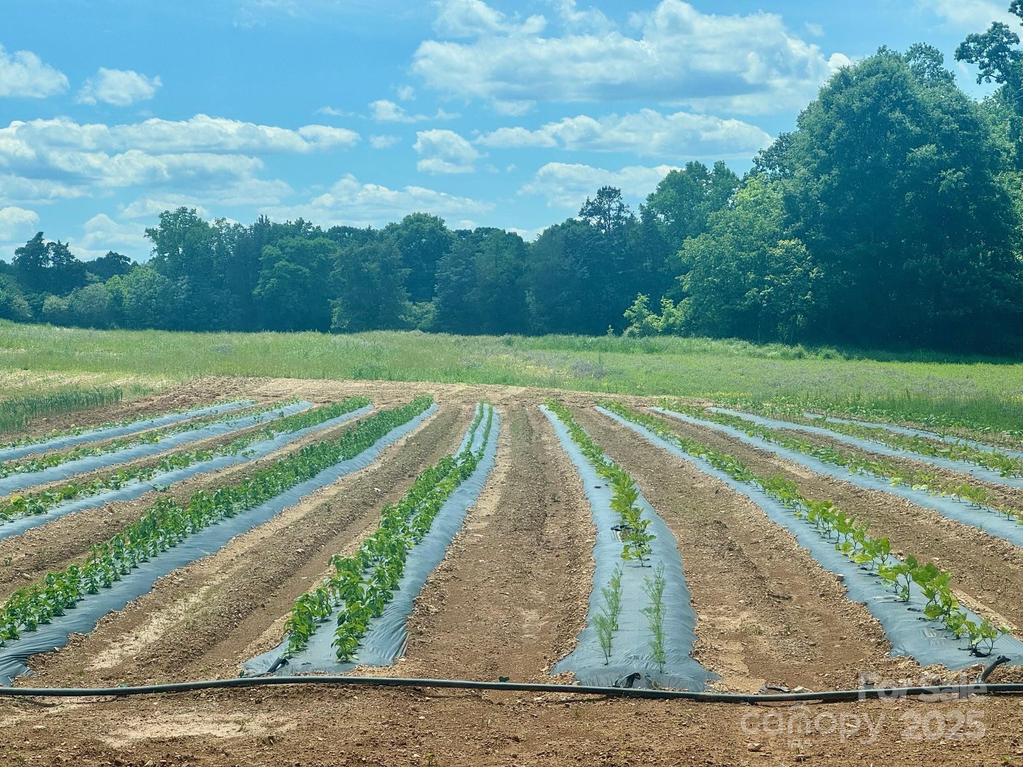 36299 Finger Road